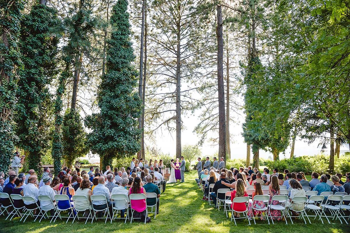 A photo of a couple at their wedding with tall pine trees surrounding the ceremony
