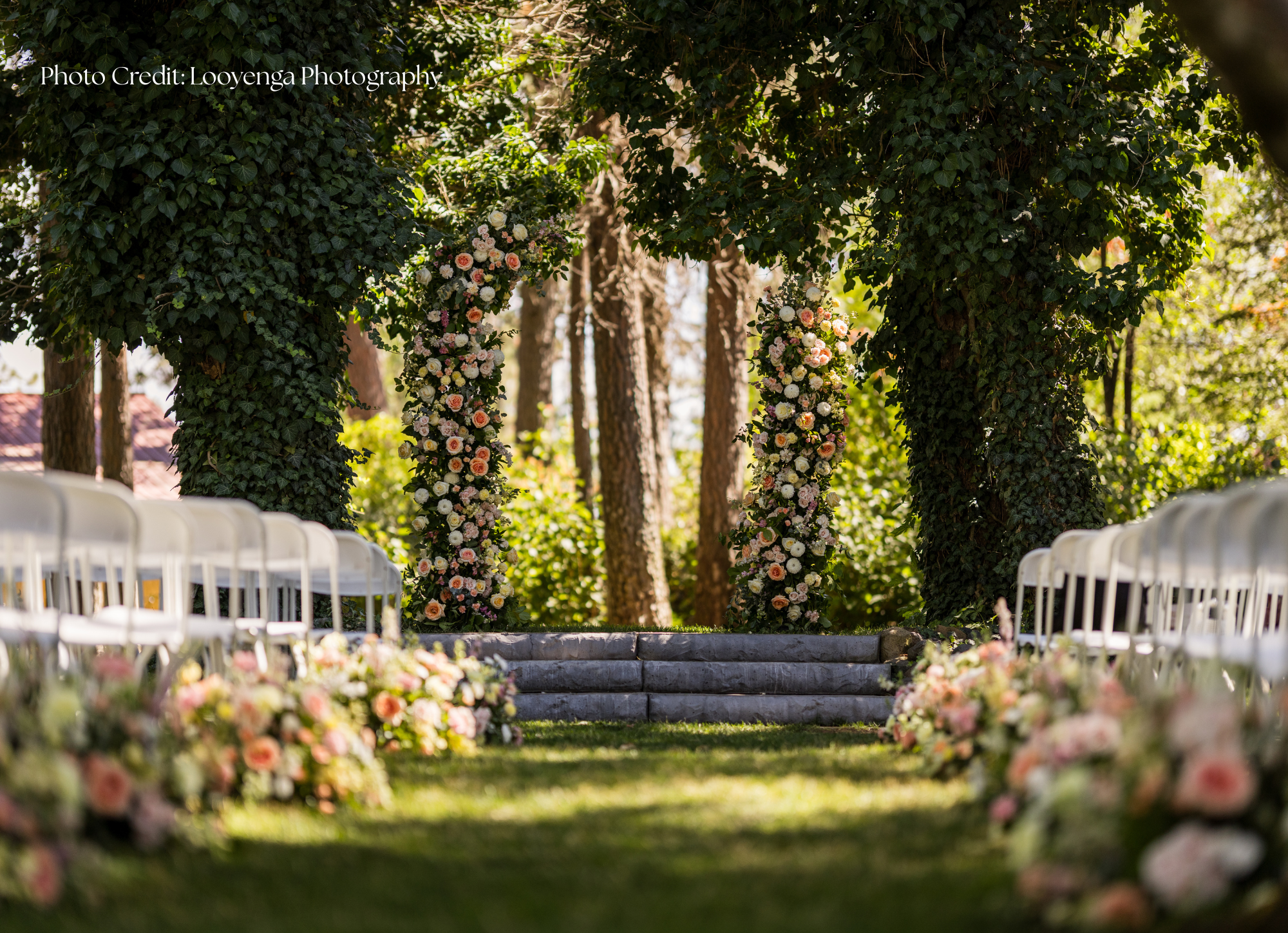 forest vertical photos (4).png