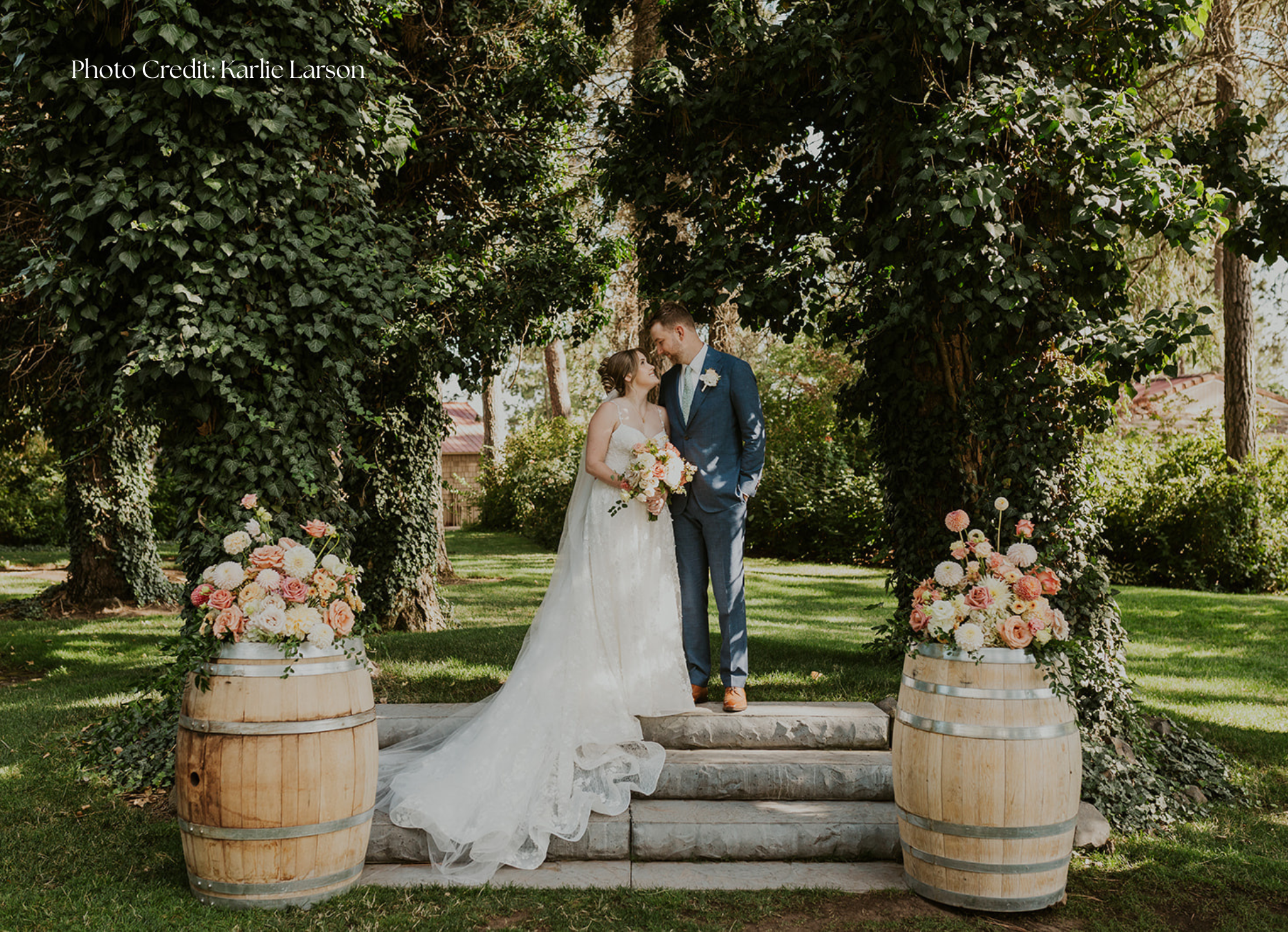 forest horizontal photos.png