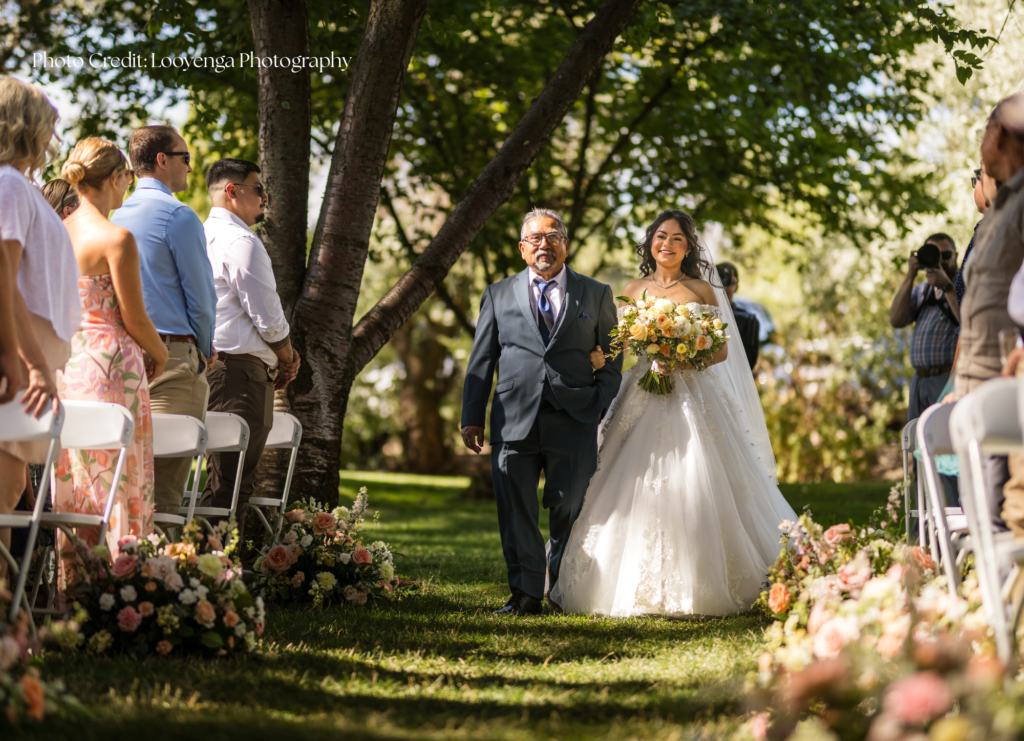 forest horizontal photos (2).png