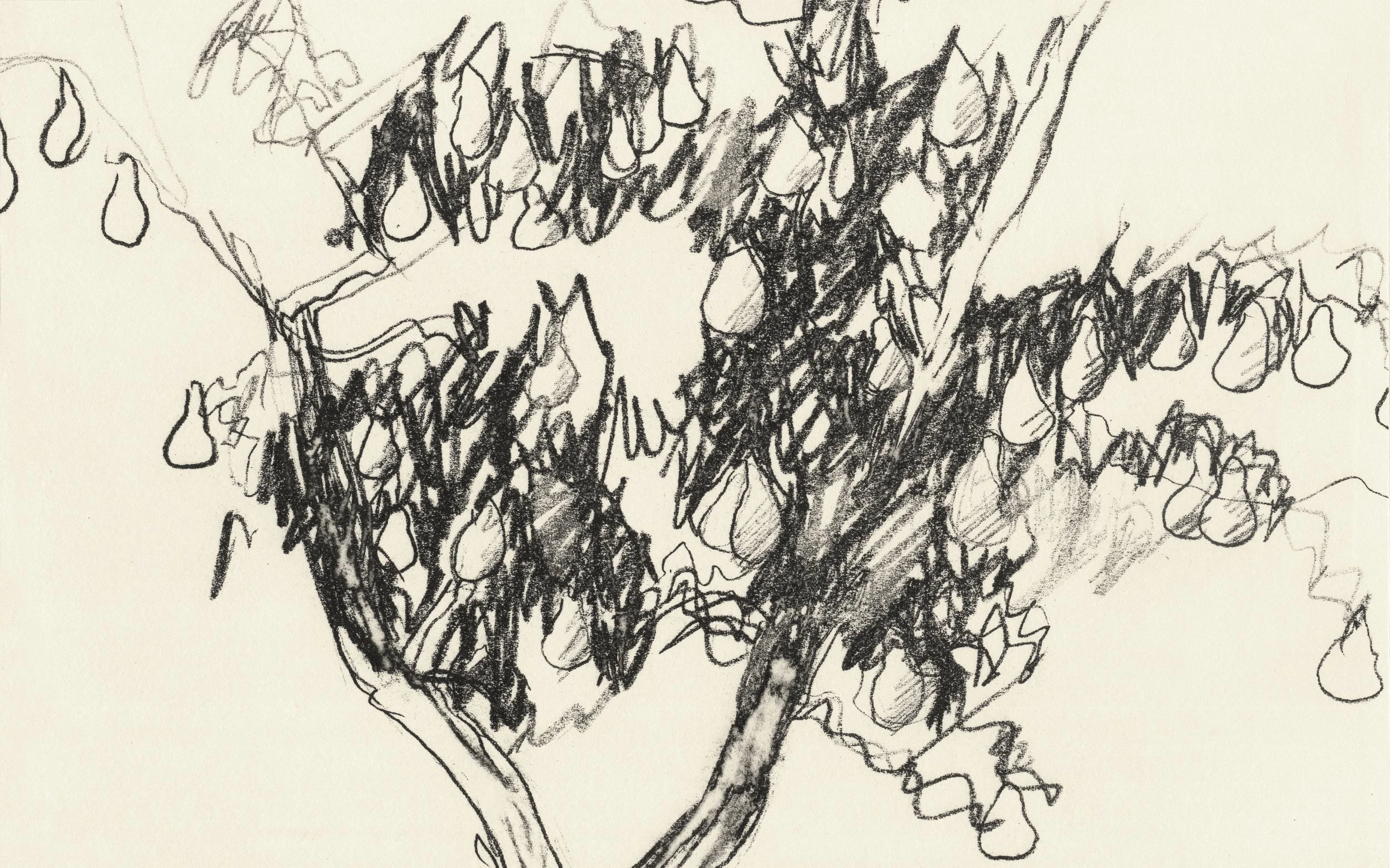 Page 10.jpg