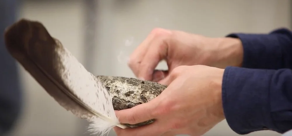 The Indigenous Collective