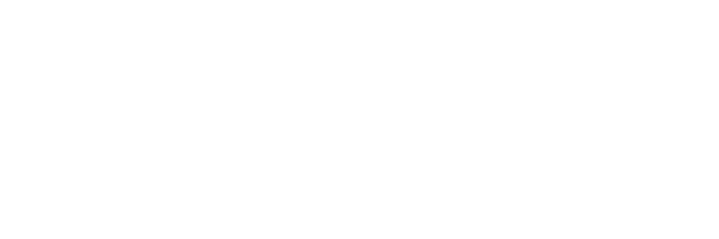 SKYE--logo--white.png