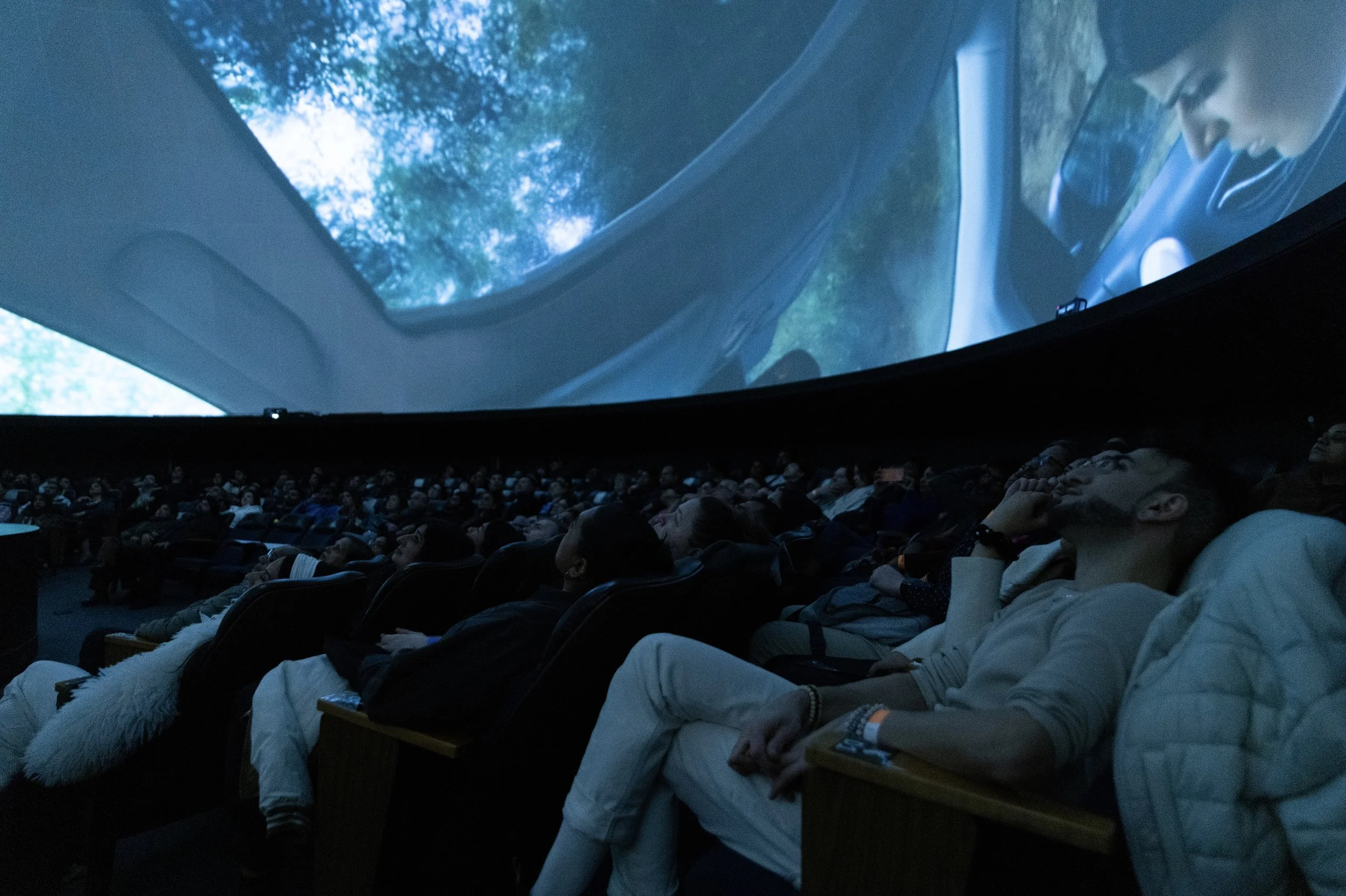 Screen Shot 2026-03-12 at 12.58.52 PM.jpg