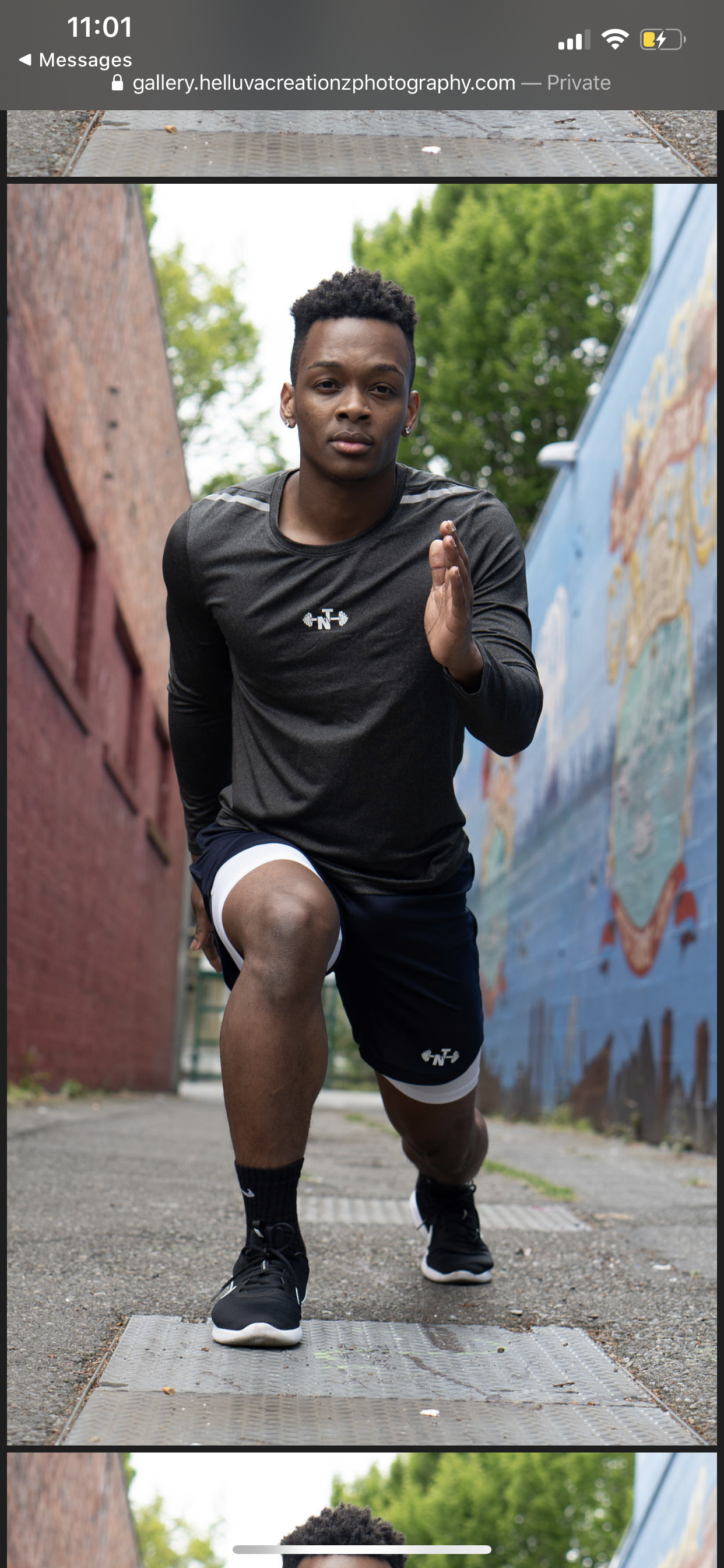 Qualified Fitted Tee: gray  