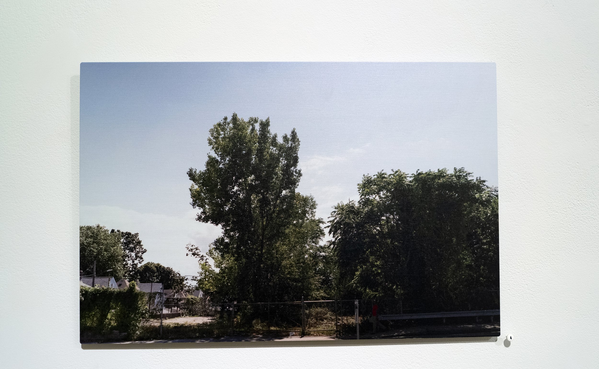 The Land_installation.jpg