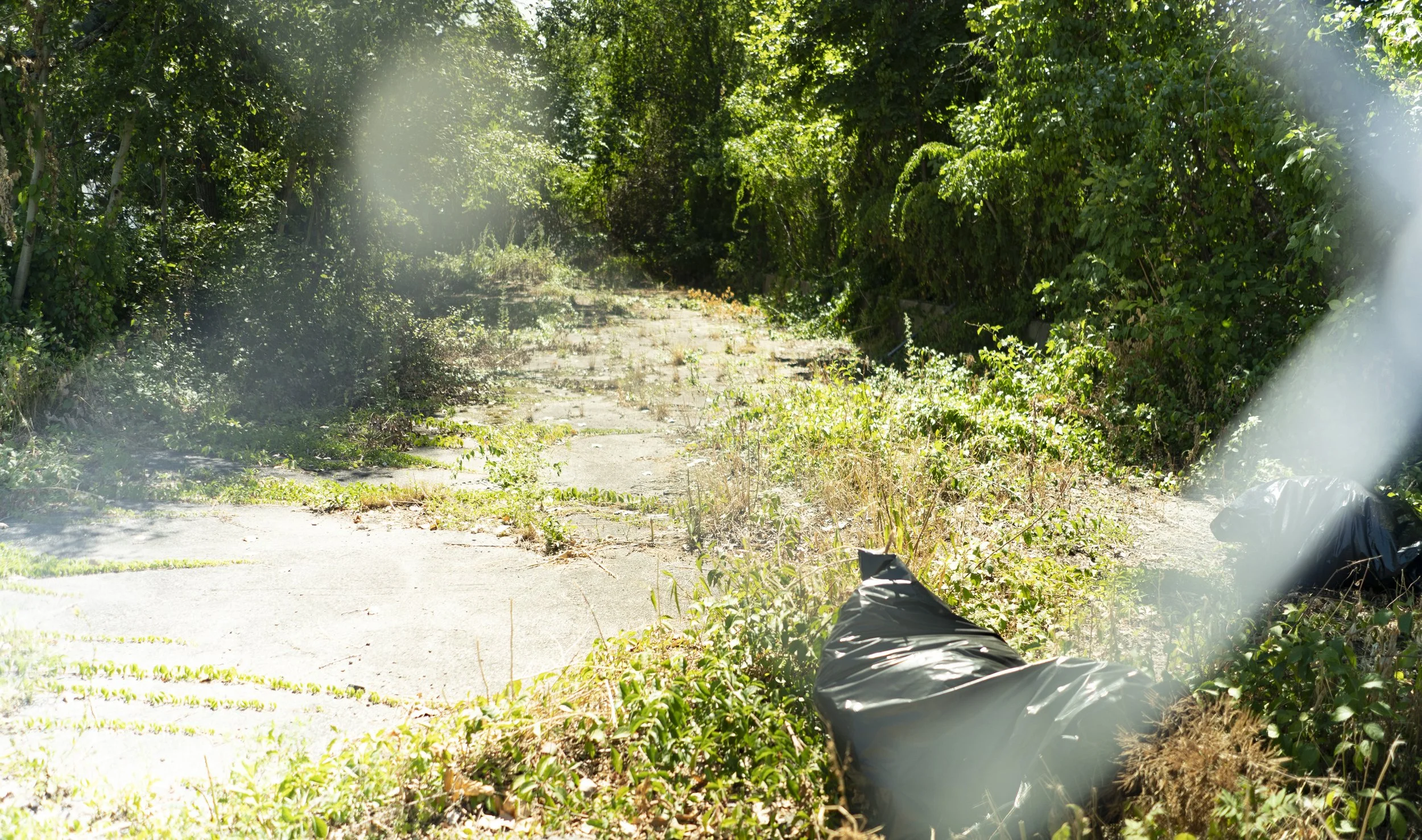 Be something some day (right)