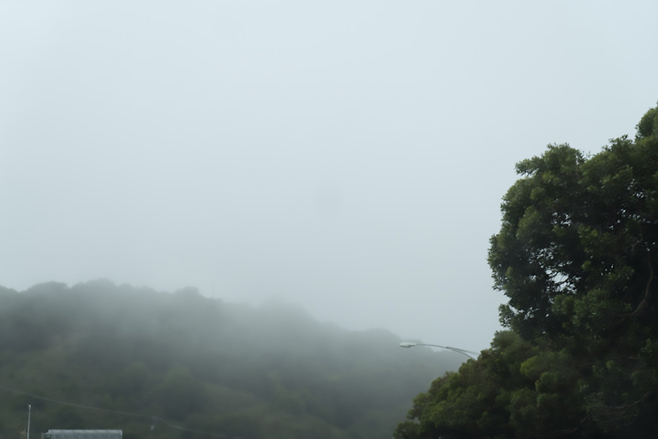 Bay Area, CA (Pacifica) 