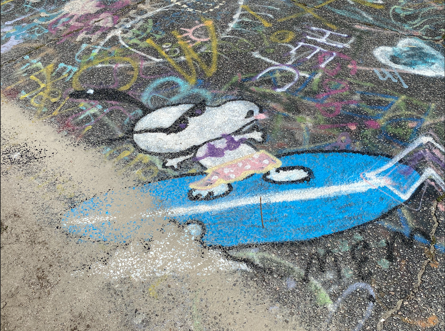 Folly Beach and Morris Island Lighthouse