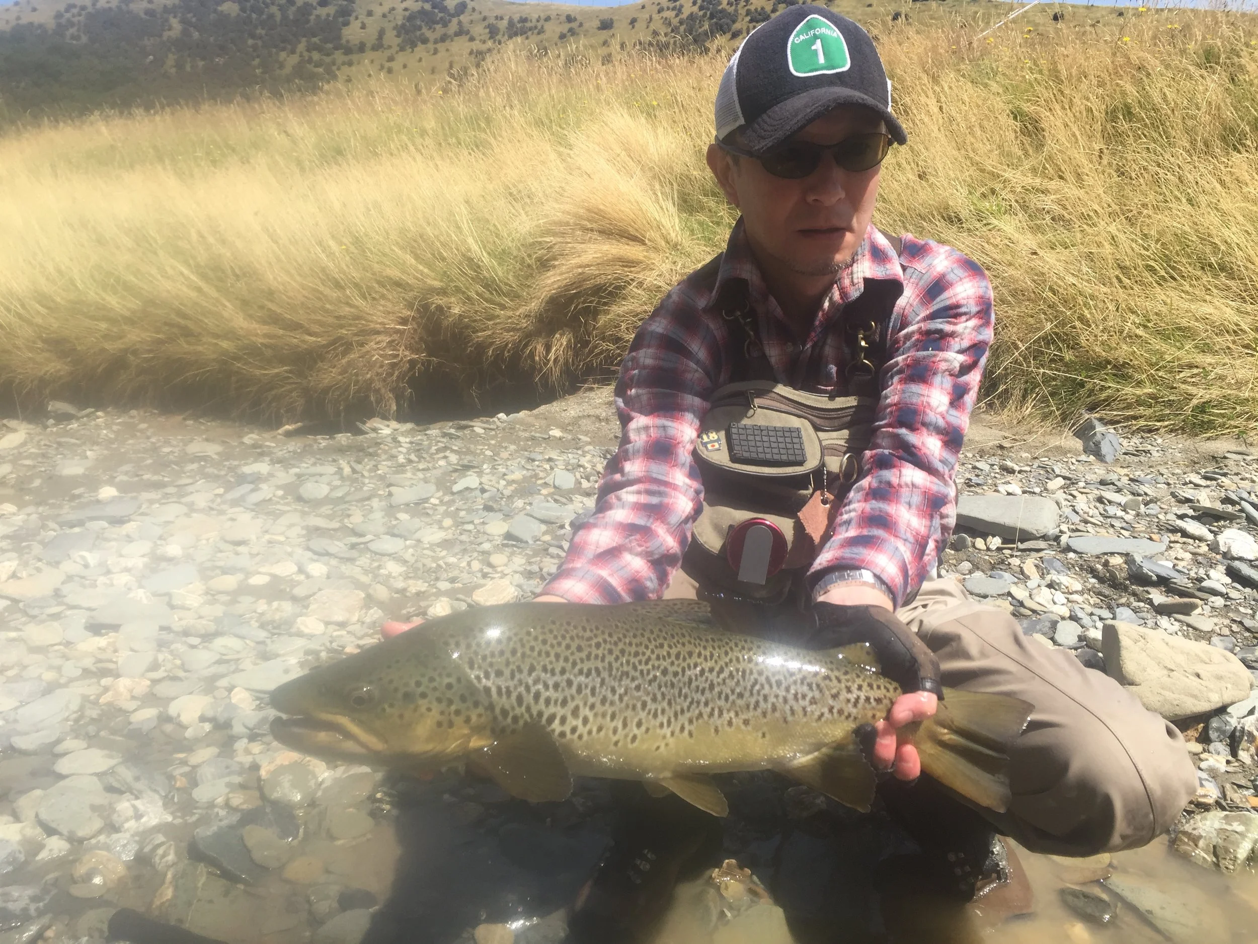 Client and fish 4.JPG