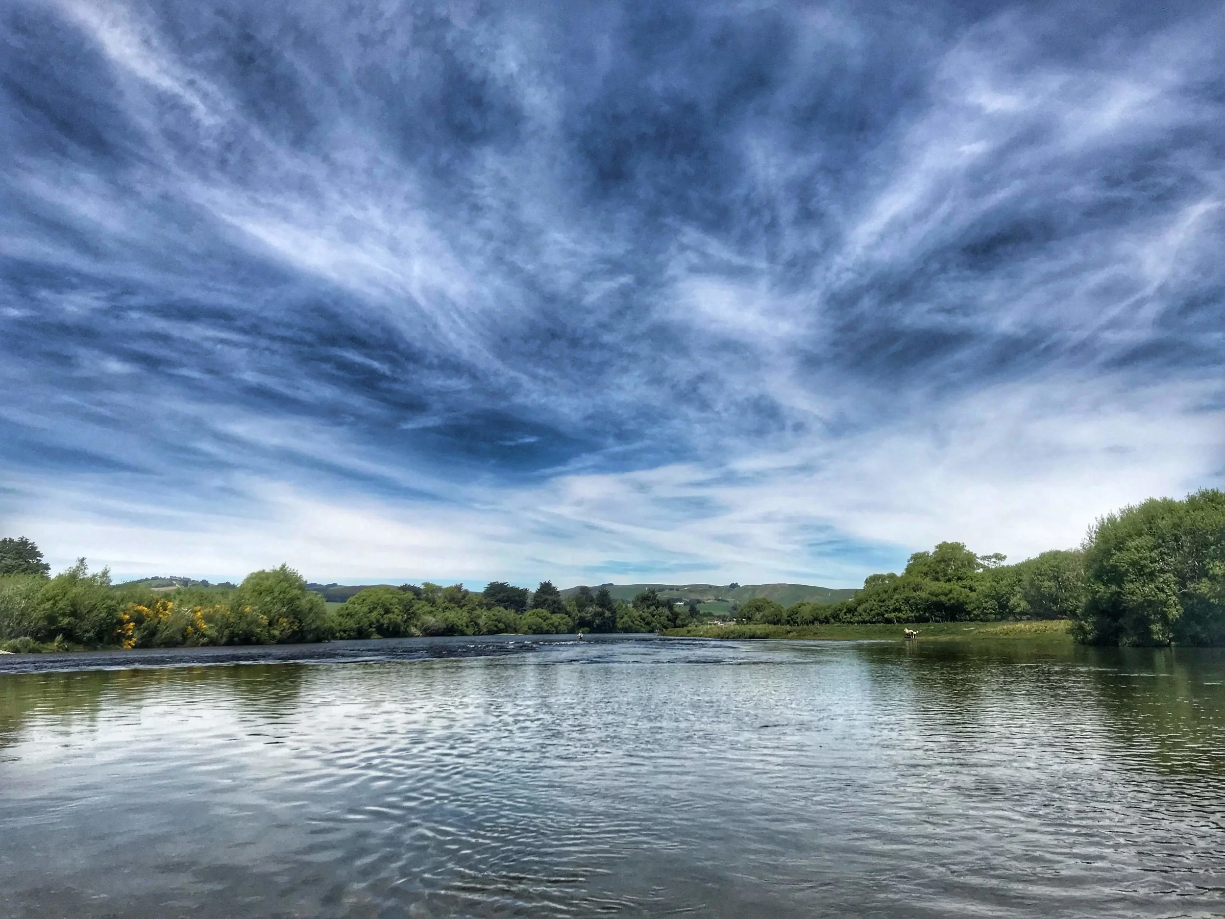 river shot.JPG