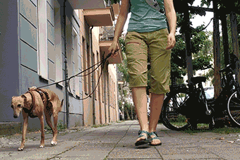 The almighty Hand Target