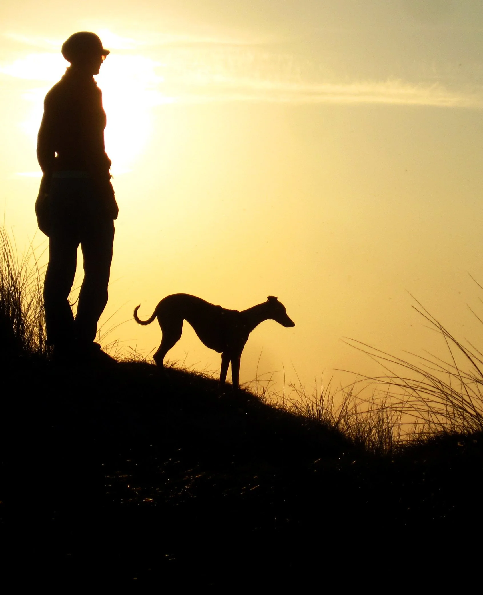 website-header.jpg
