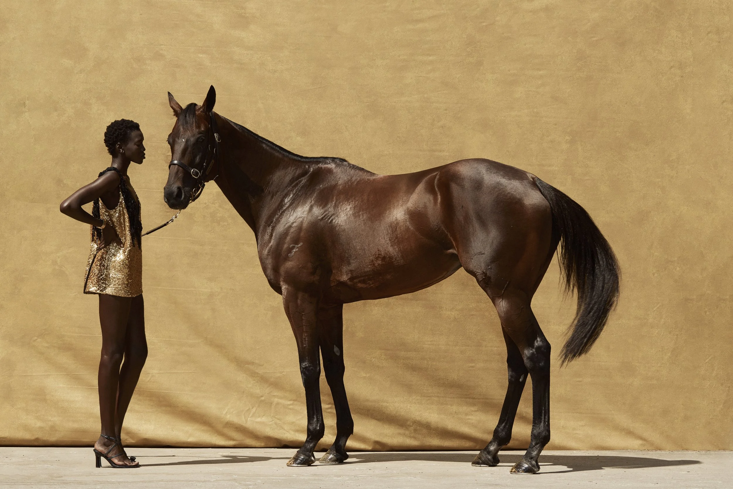 20190219_VOGUE_WINX_01_115 copy.jpg