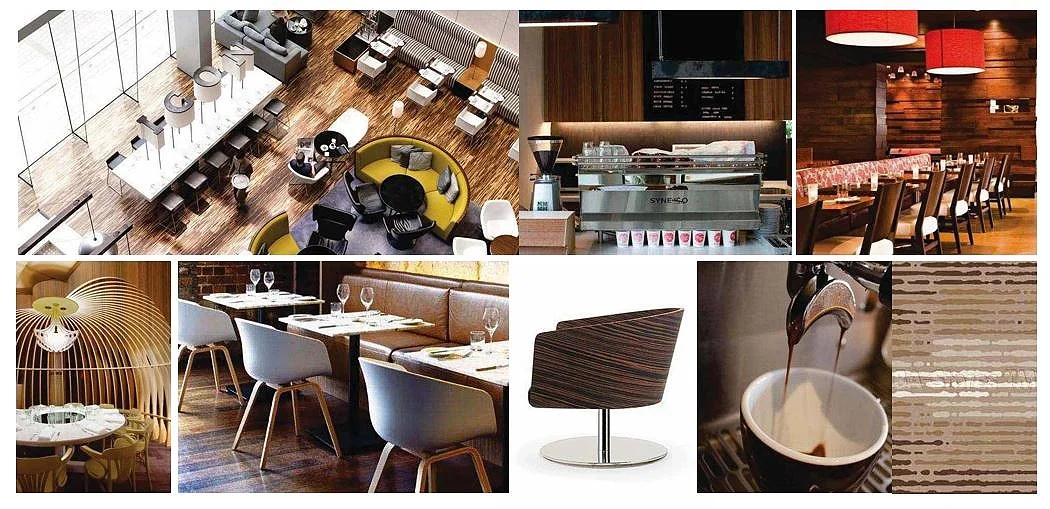 concept mood images.JPG