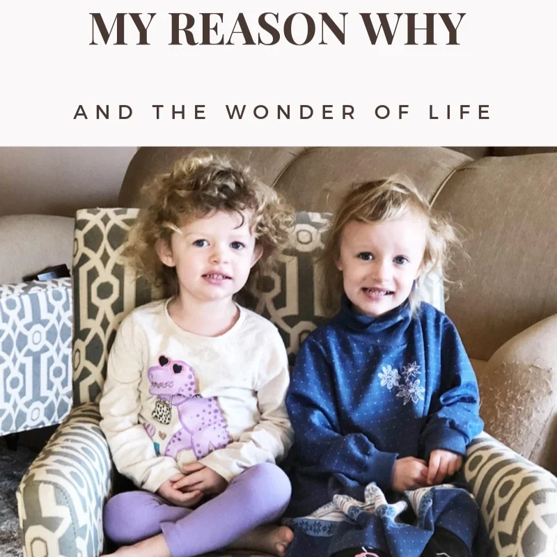 My Why and the Wonder of Life.