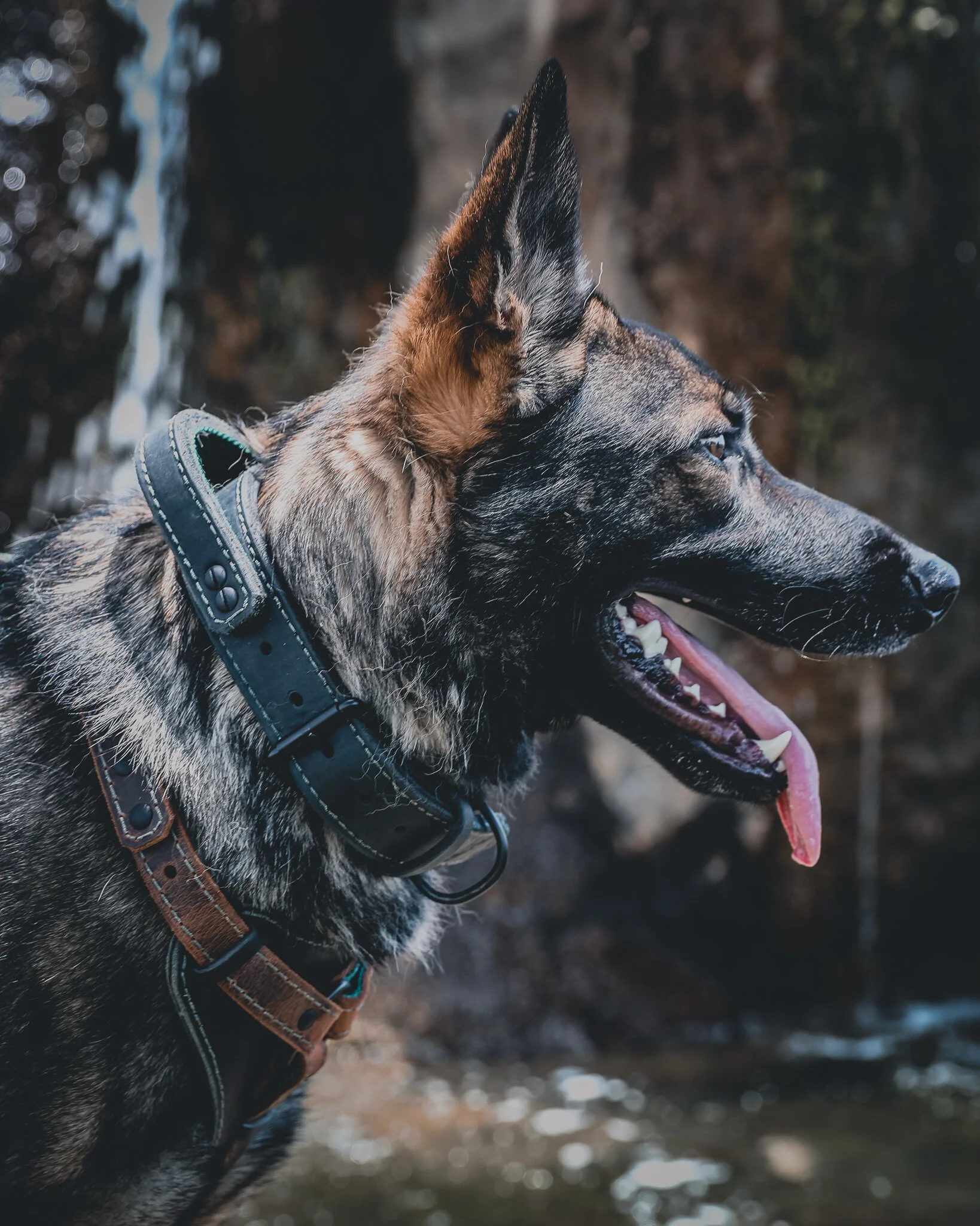 agitation collar with handle