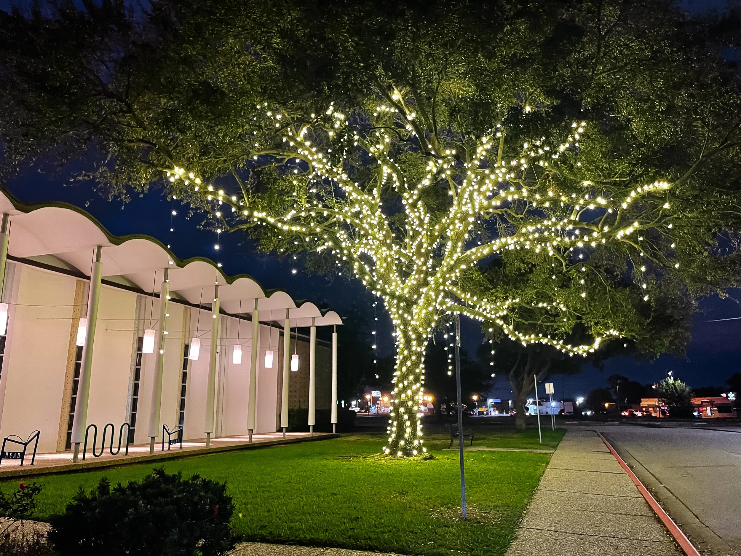 Baytown Tree.jpg