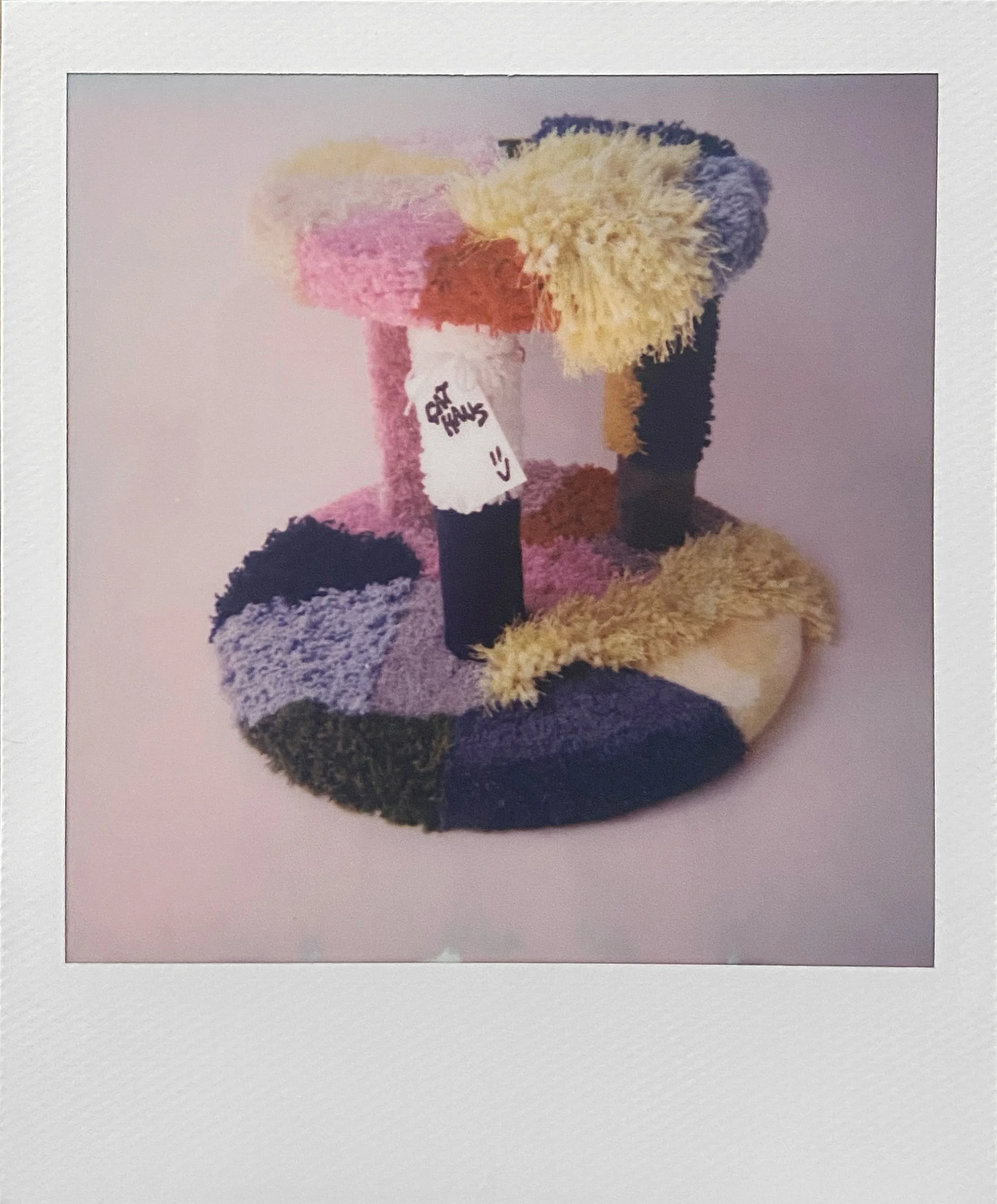 polaroid.hh.1.jpg