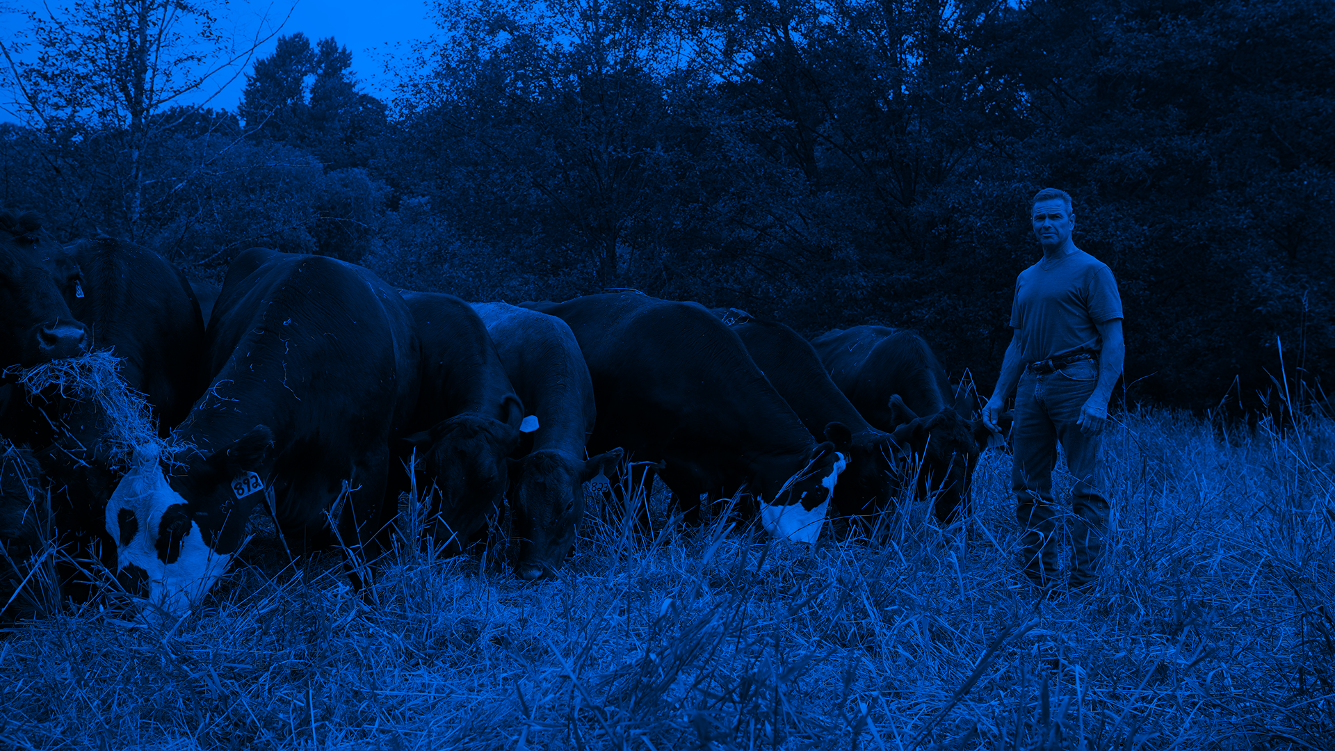 Nederland Farms Website Image Test.png