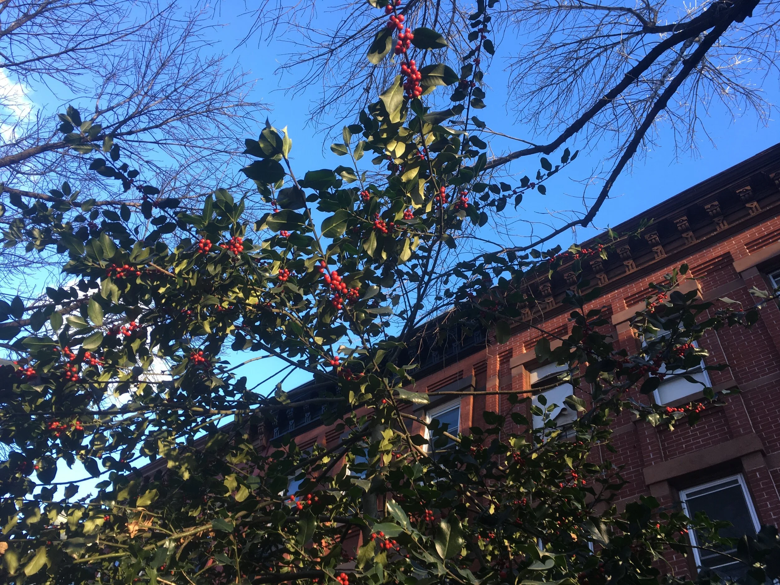 Self care Sunday | turning a house into home