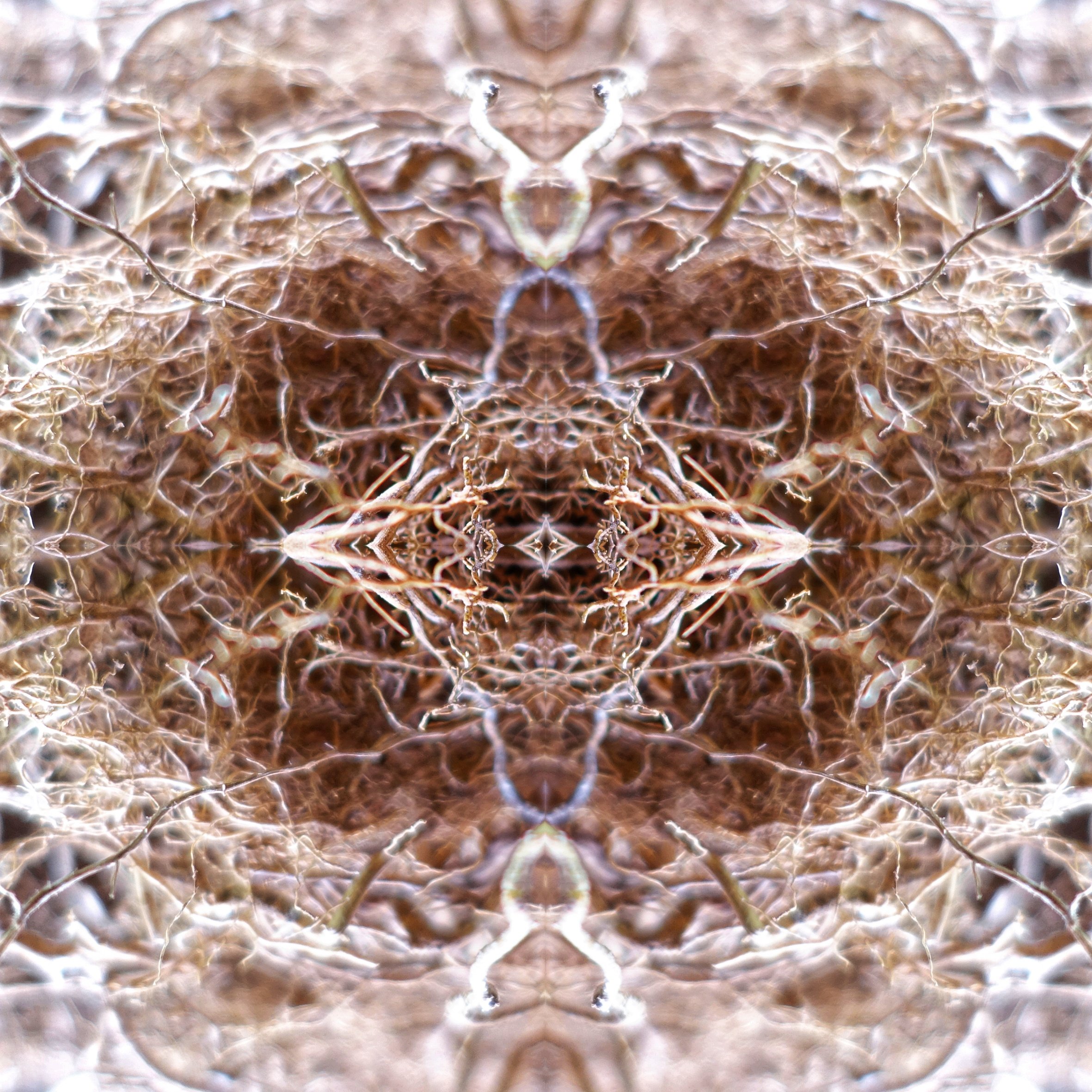 processed_a5908f388ca64cfeb0a43d6c15d9a420.jpeg