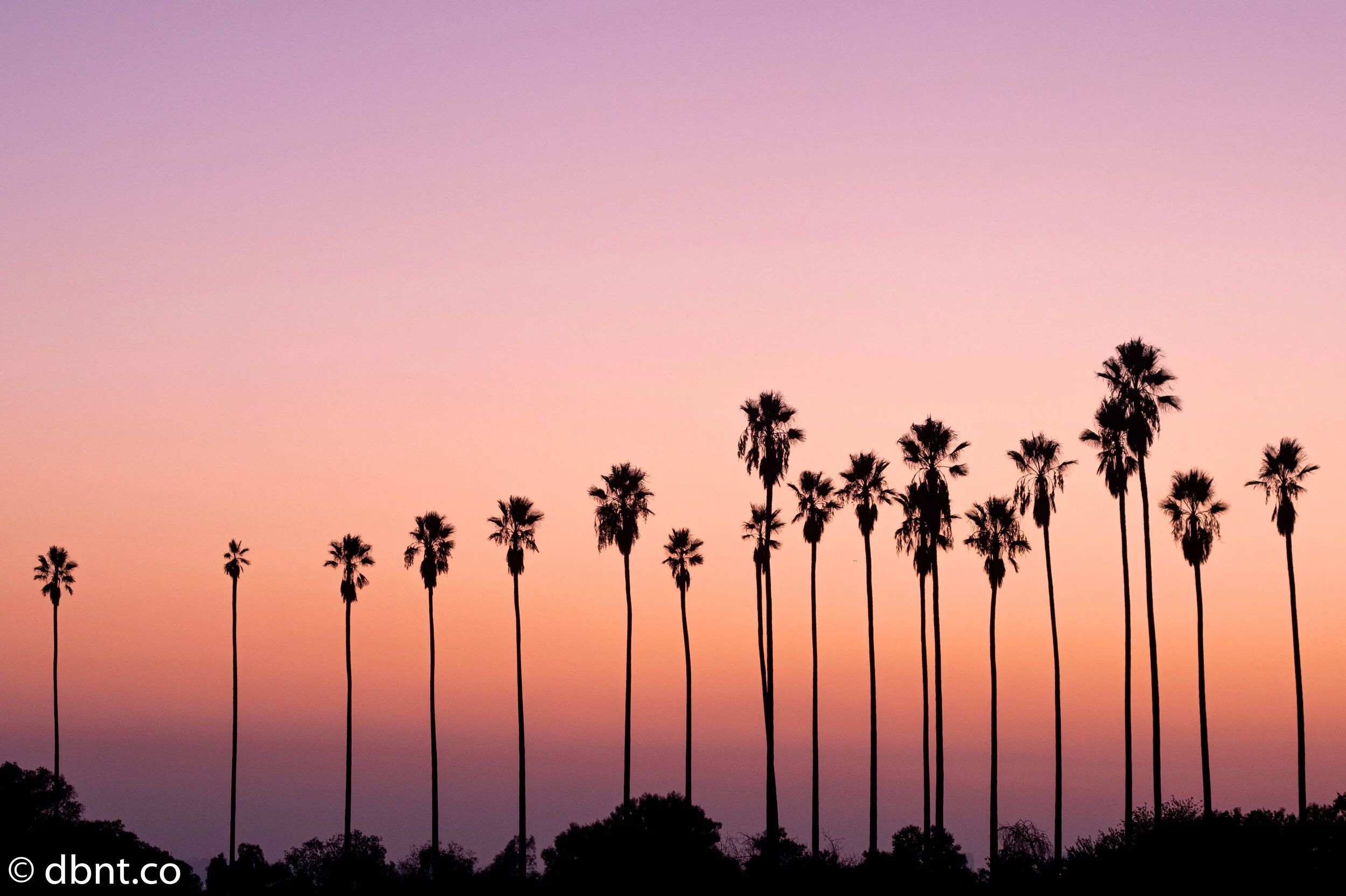 dbntwallpapers (7 of 7).jpg