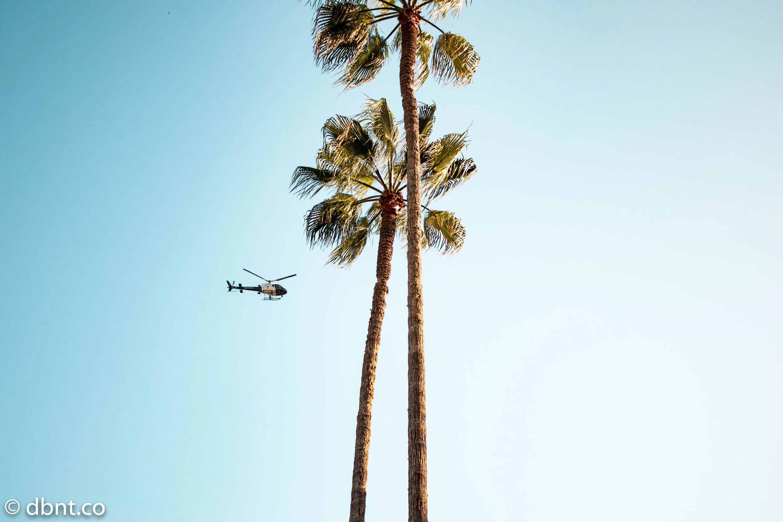 dbntwallpapers (5 of 7).jpg