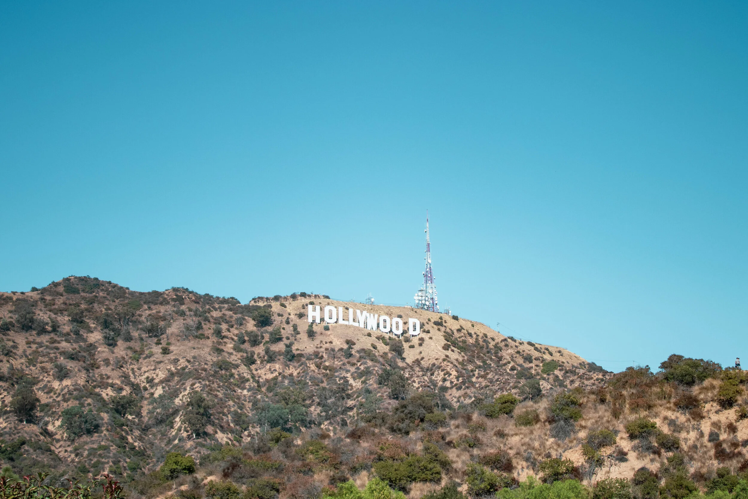 LADigital (1 of 1)-13.jpg