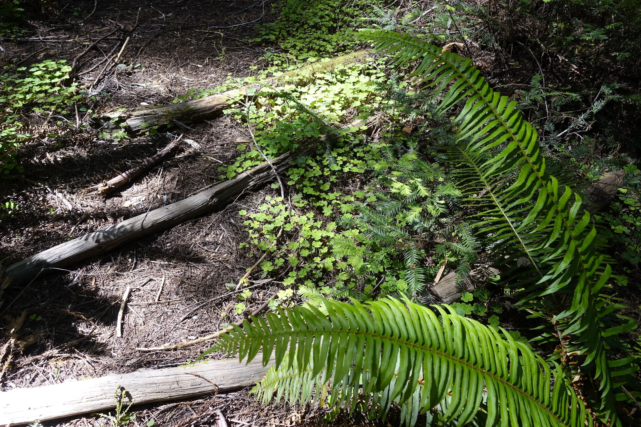 What is Eco-friendly ?