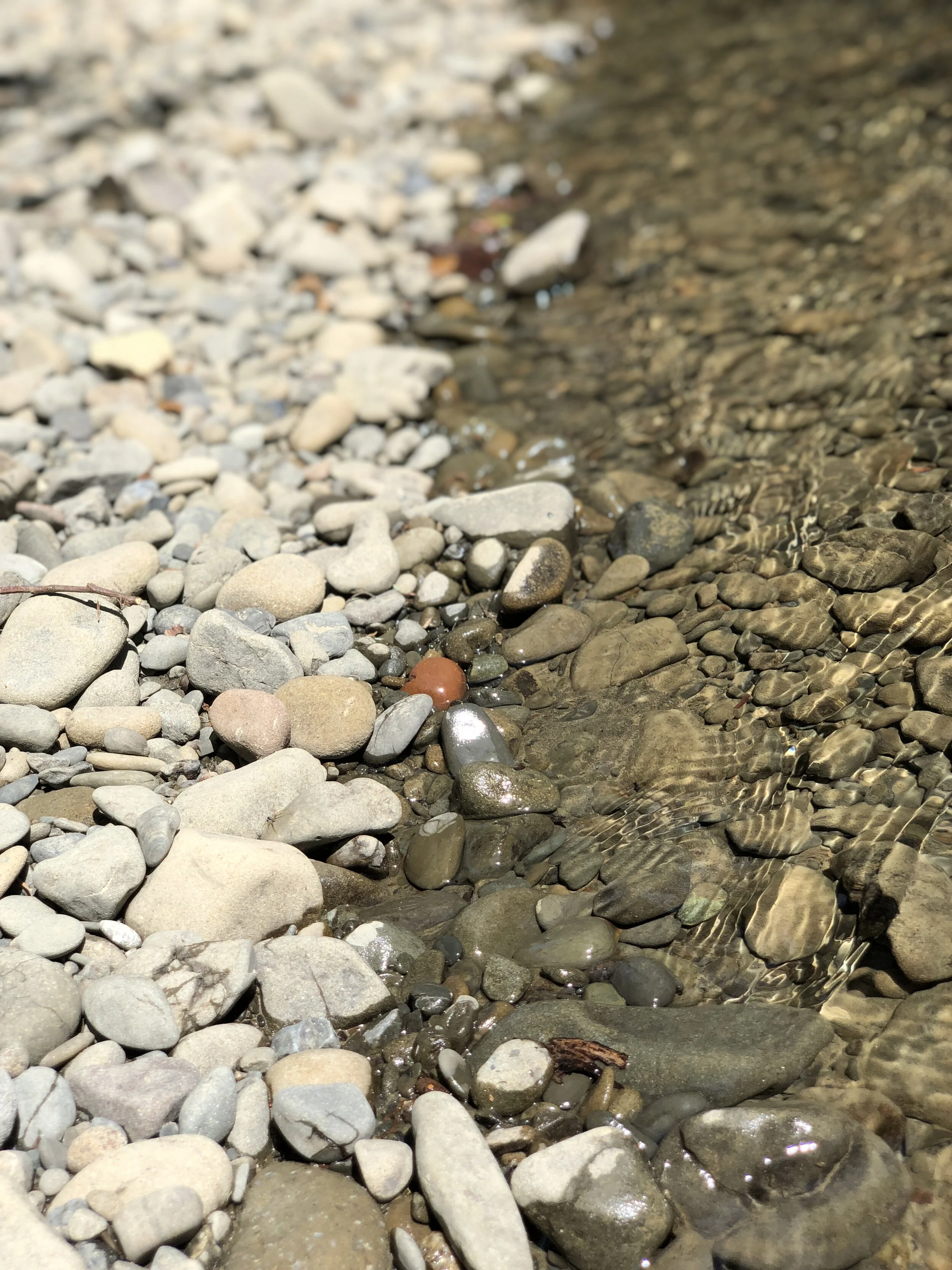 Biodegradable Products 