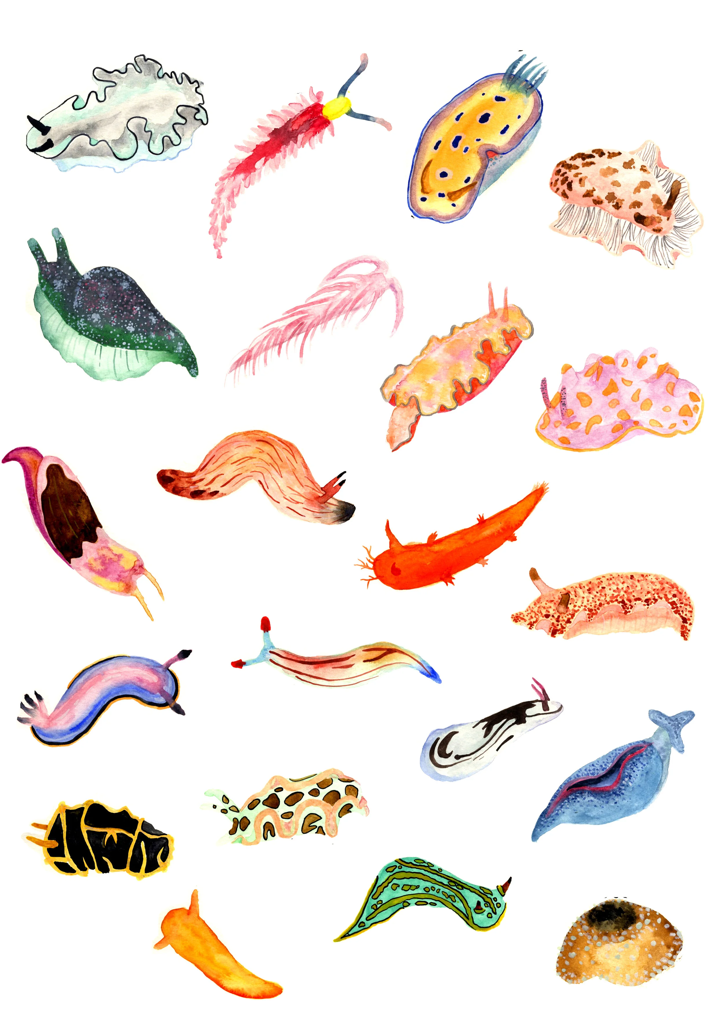 NEW SLUG.jpg