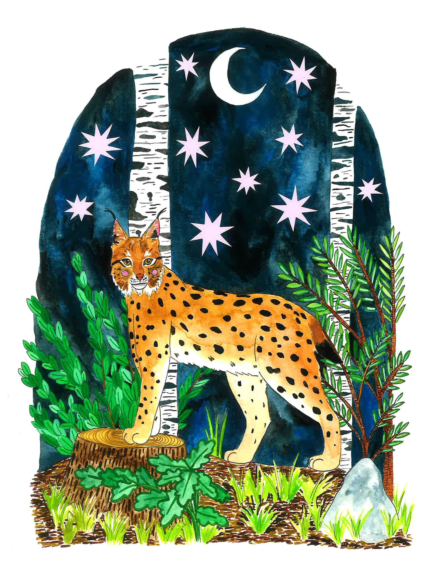 Lynx web.jpg