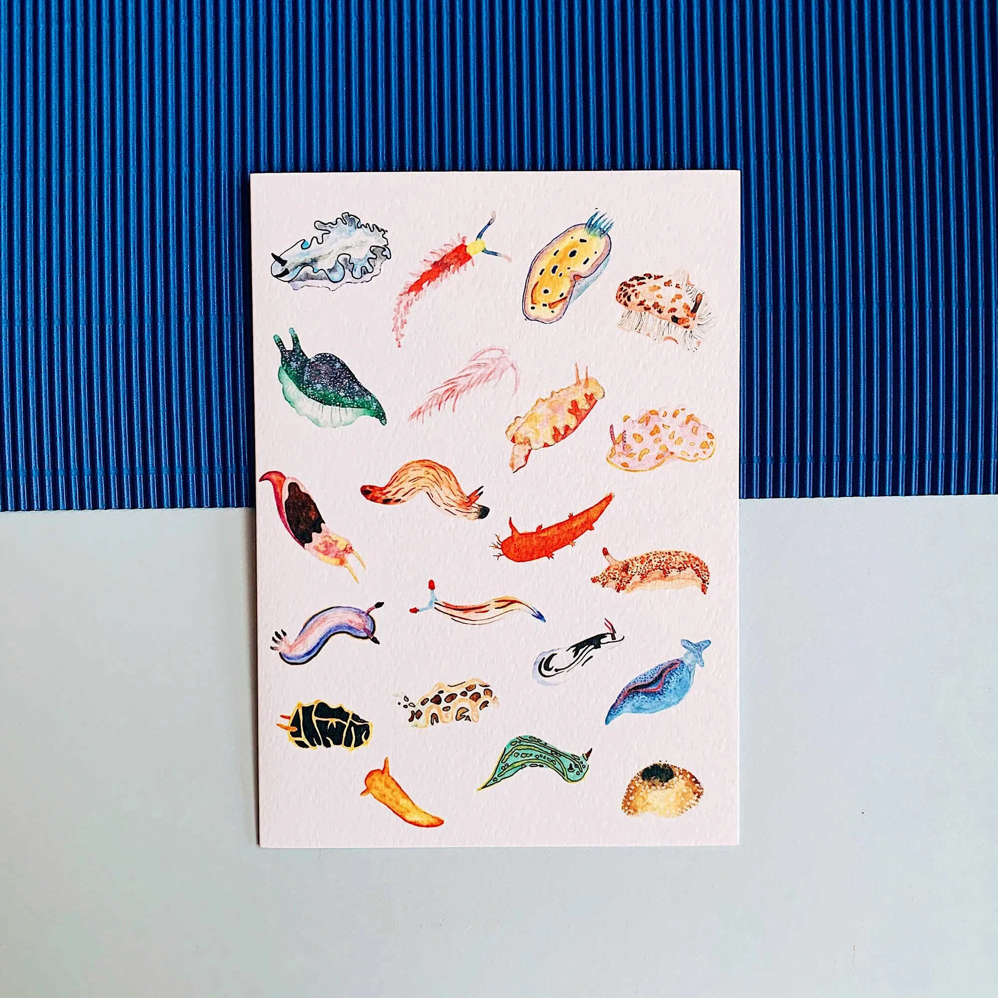 Seaslugs-Web.jpg