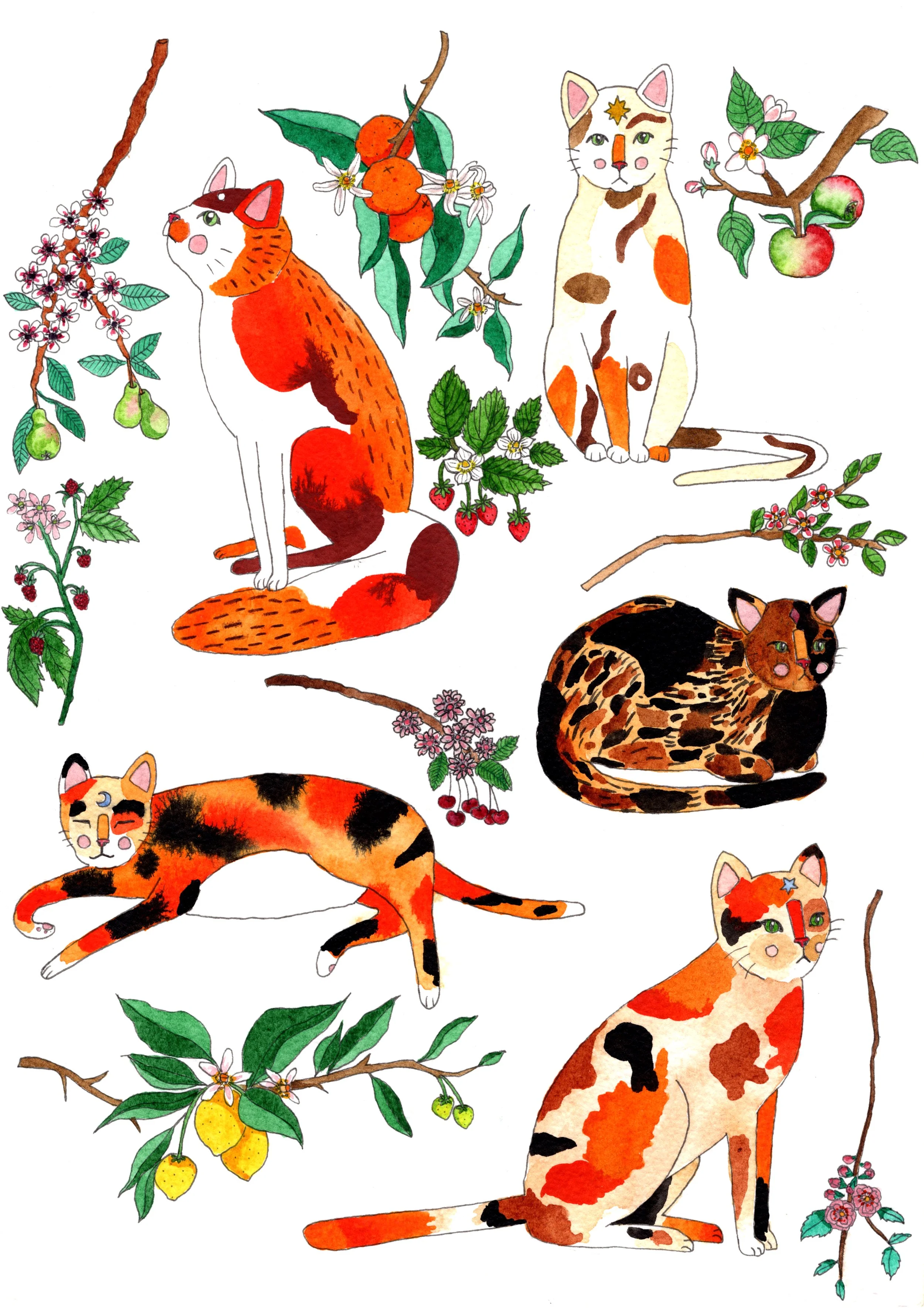 cats and fruits.jpeg