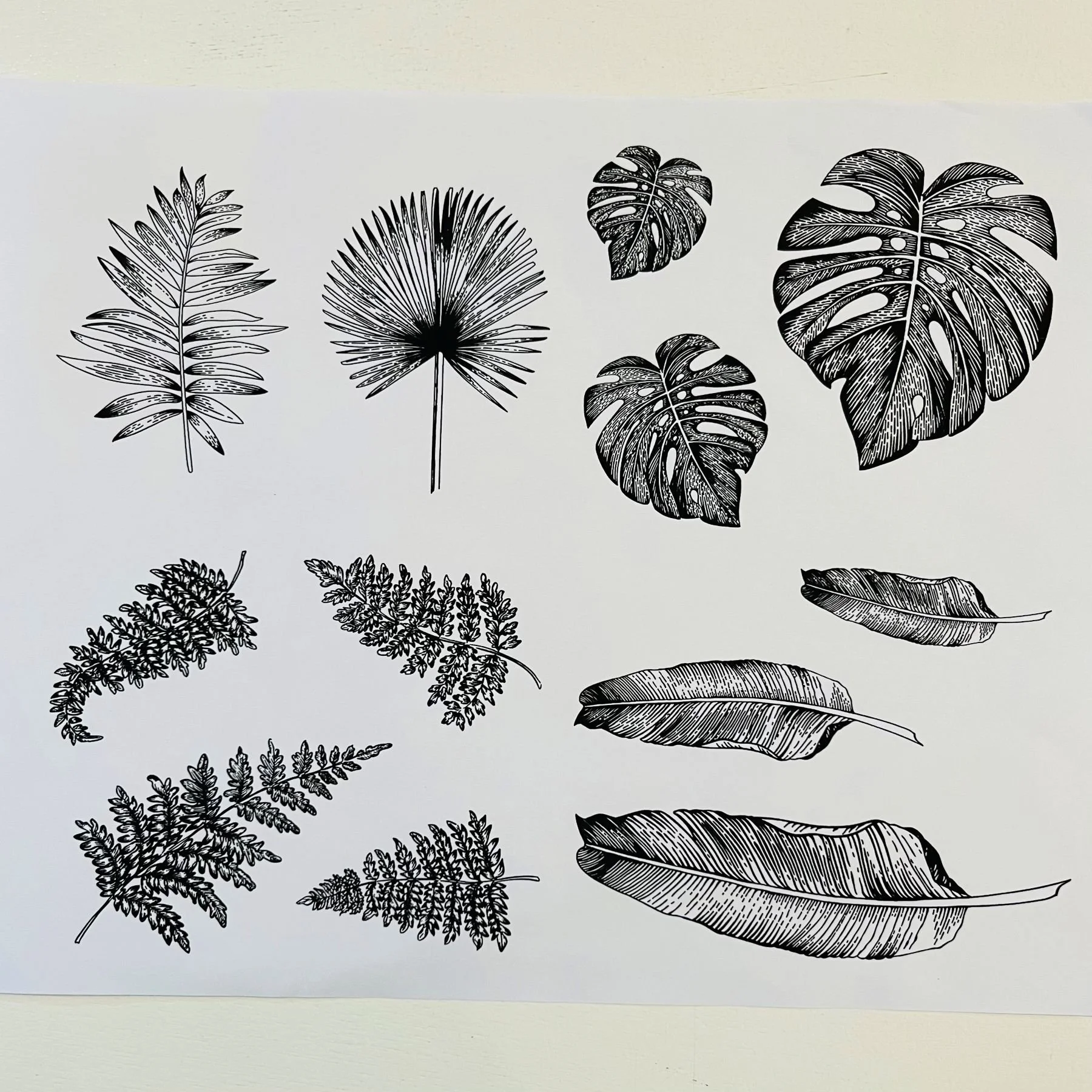 printed leaf and feather images.jpg