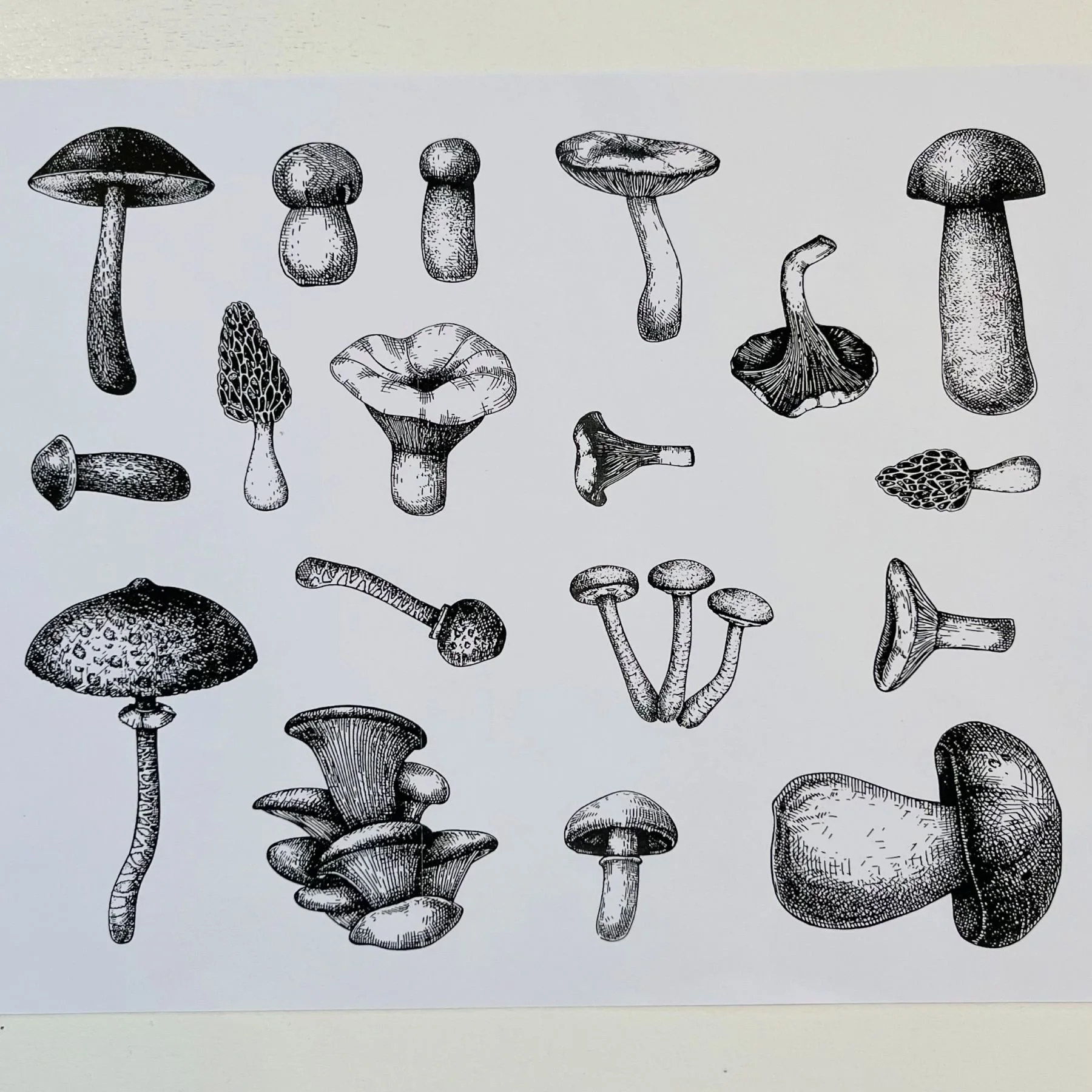 printed mushroom images.jpg