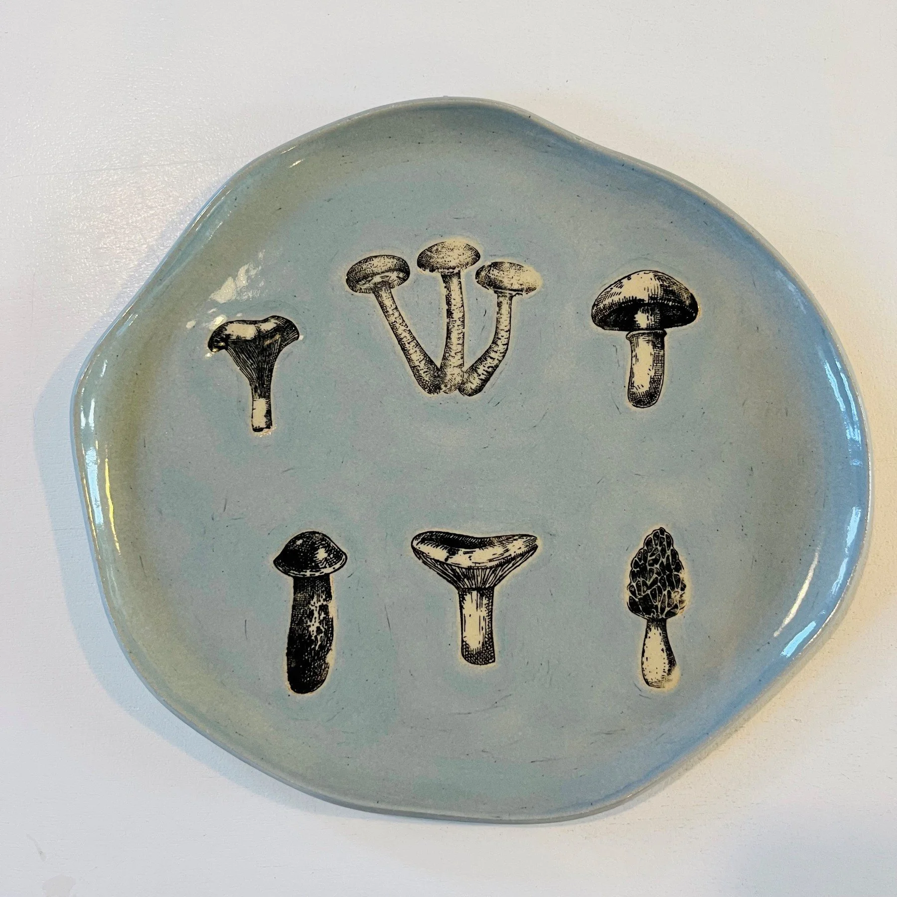 Printed plate mini mushroom.jpg