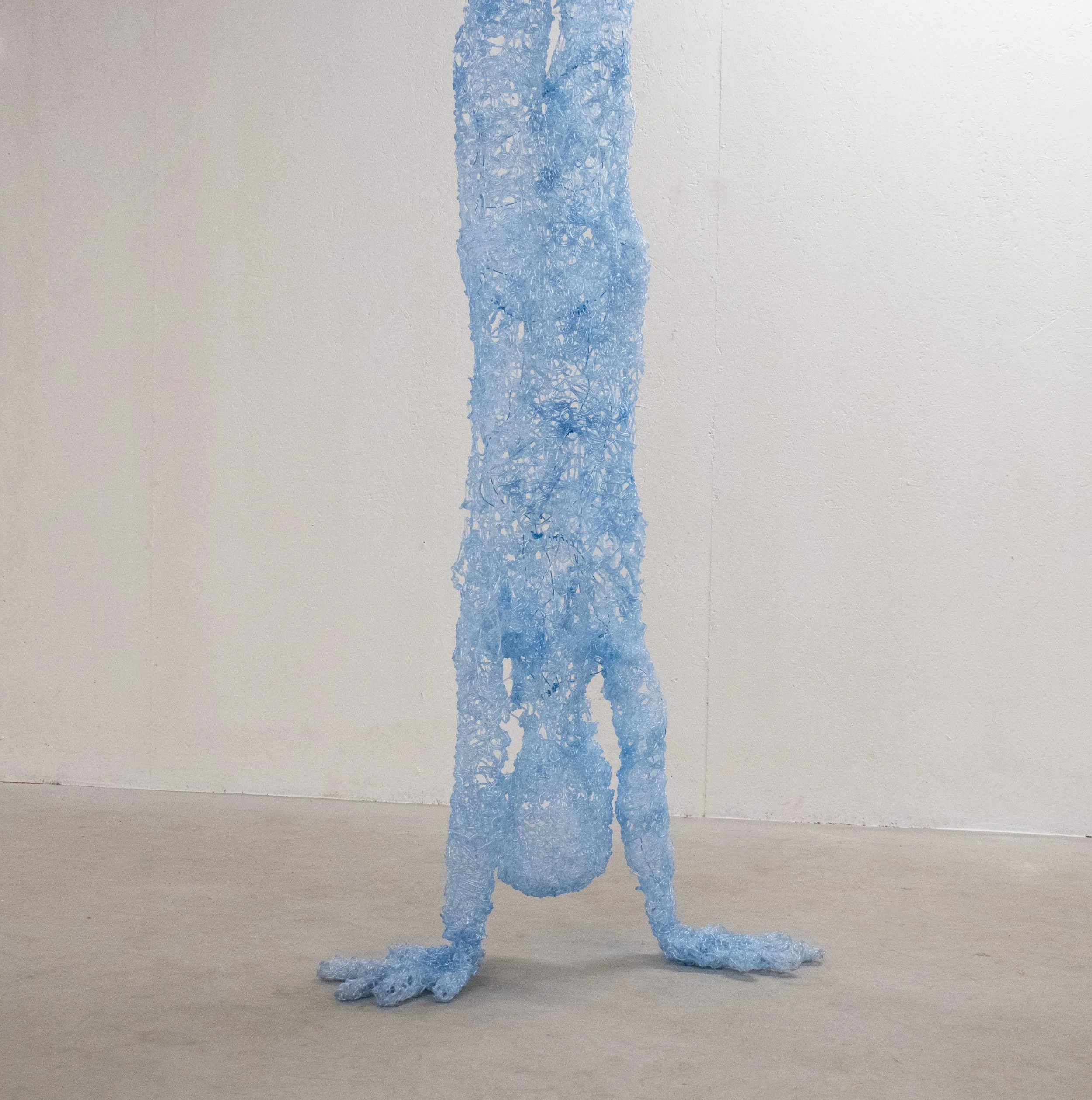 The Birth Suit22.jpg