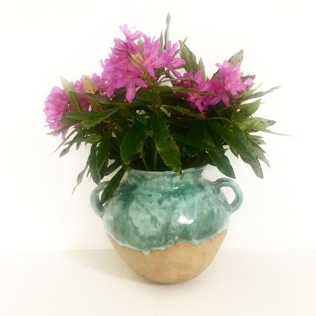 Jade urn. The rhododendrons are just coming into bloom. With the rich yellow of the gorse still apparent, it&rsquo;s a real feast of colour. #handmadeceramic #stonewareceramics #artobject #ceramique #poterie #cer&aacute;mica #ceramicart #ceramicurn