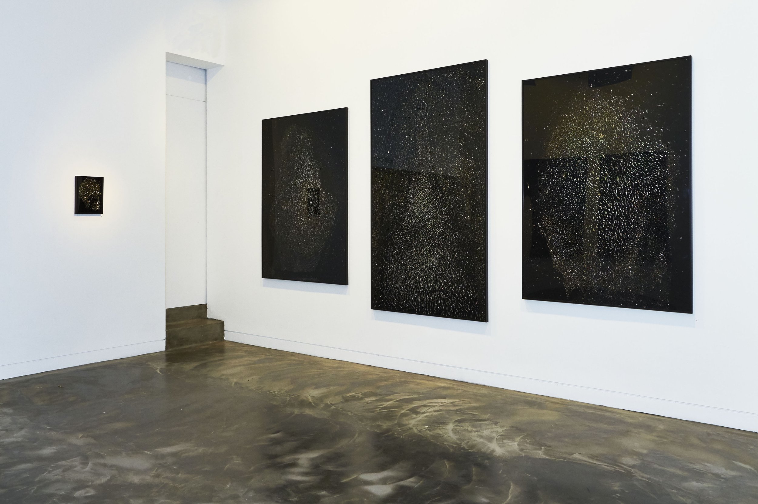 Helen Shelley-Our Late Loved Ones-installation image, 2015. .jpg