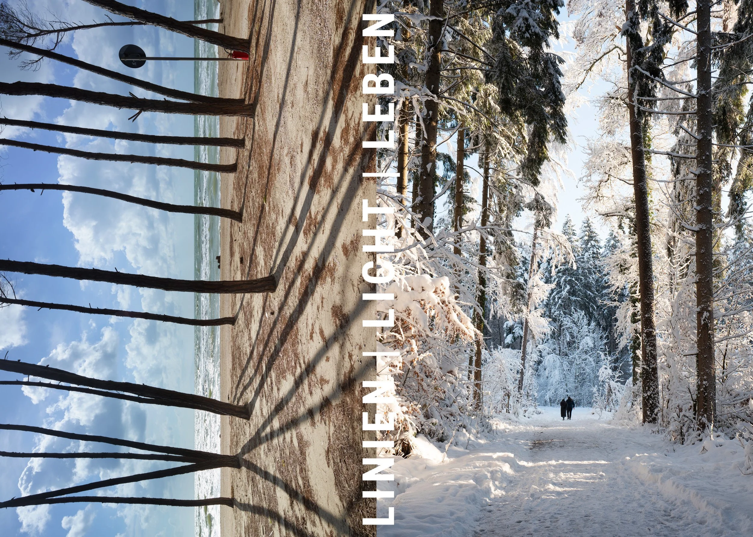 LINIEN LICHT LEBEN