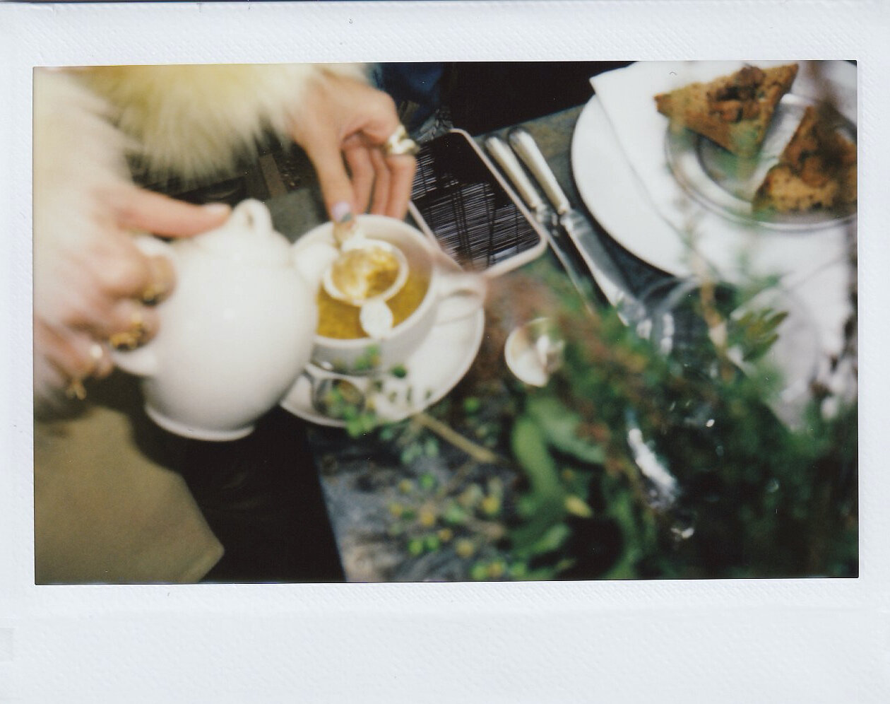 OriginsLondonTrip_Feb5_Petersham_Polaroid 2.jpg