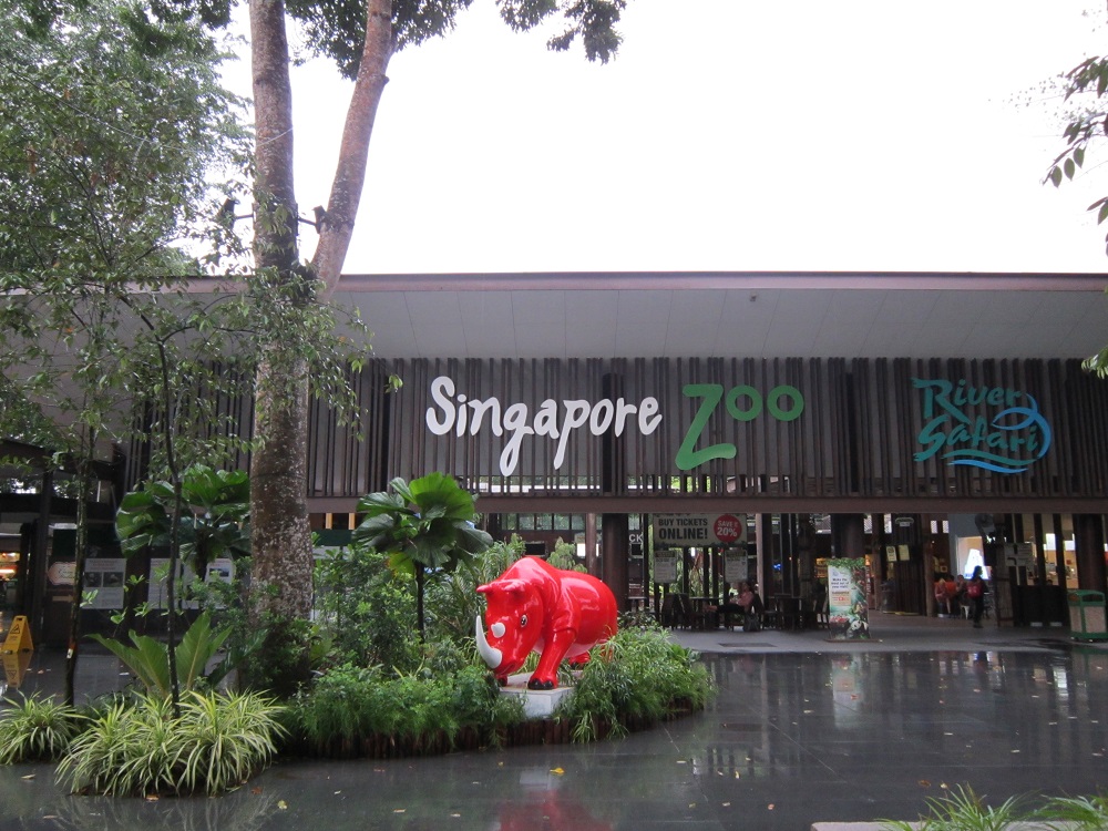 Singapore Diaries - Day 5