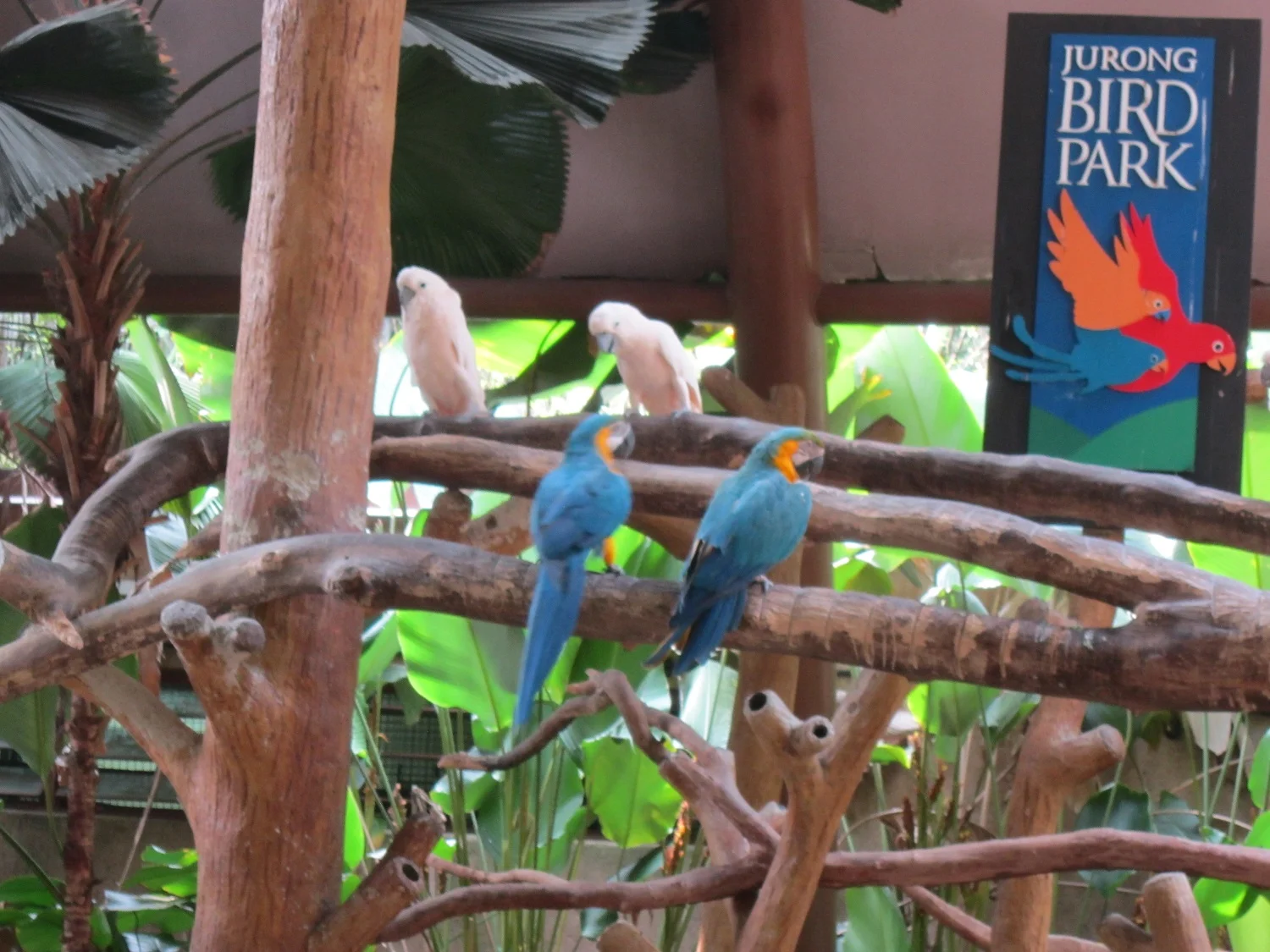 Singapore Diaries - Day 6