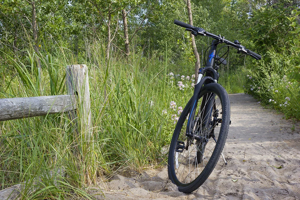 Toronto Islands - Love for Biking - Centre Island & Hanlan's Point