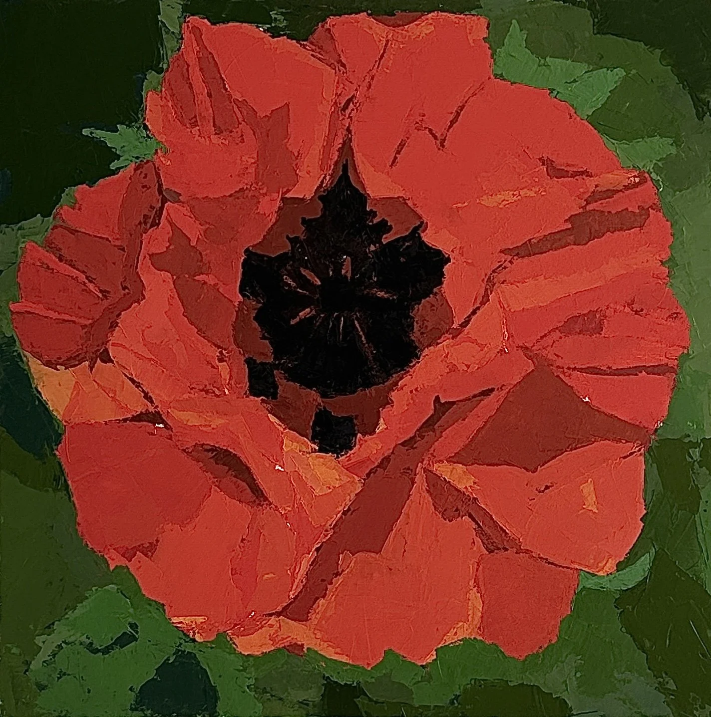 Poppy Flower.jpg