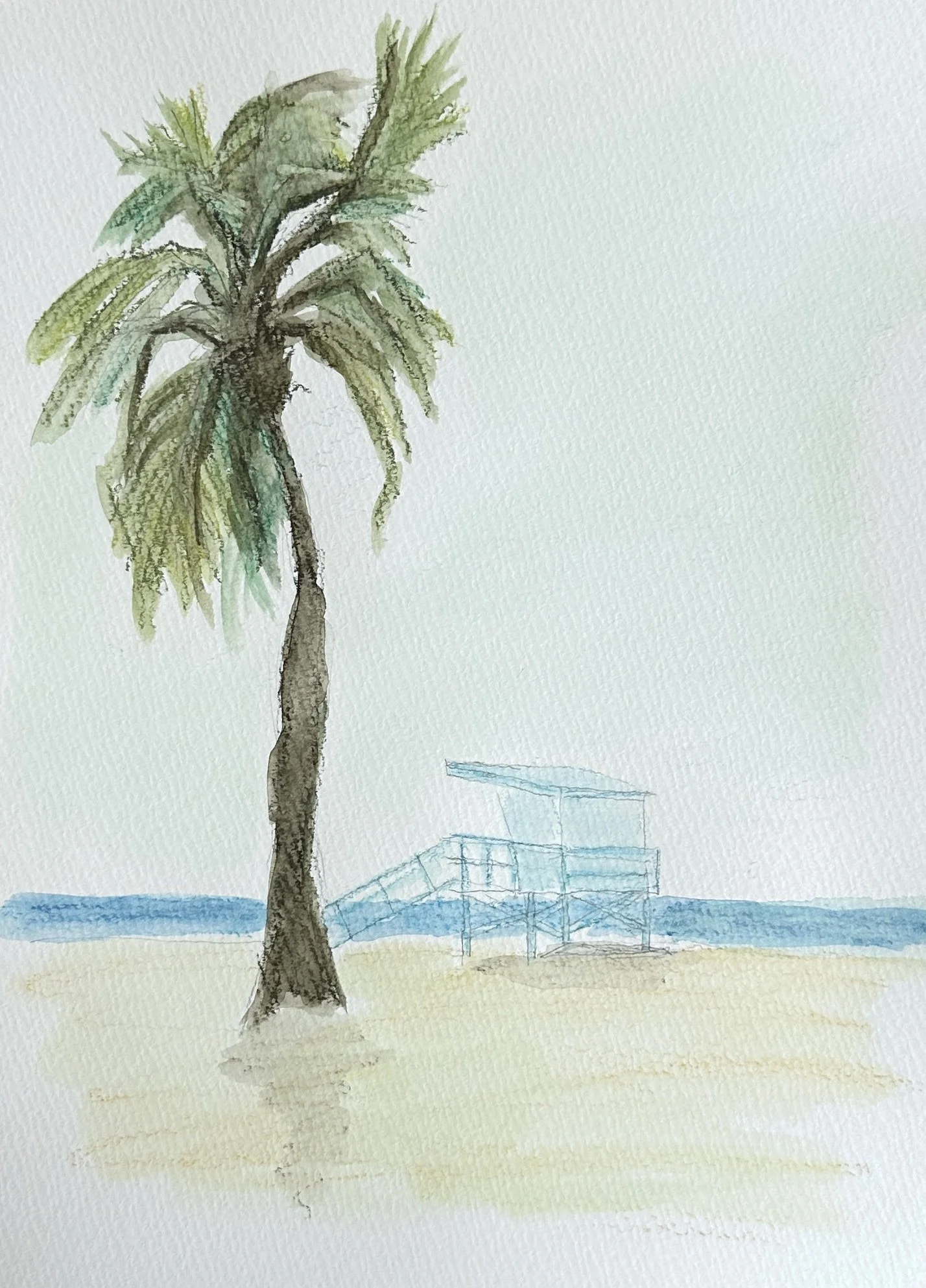 Palm Tree & Shack sketch.jpg
