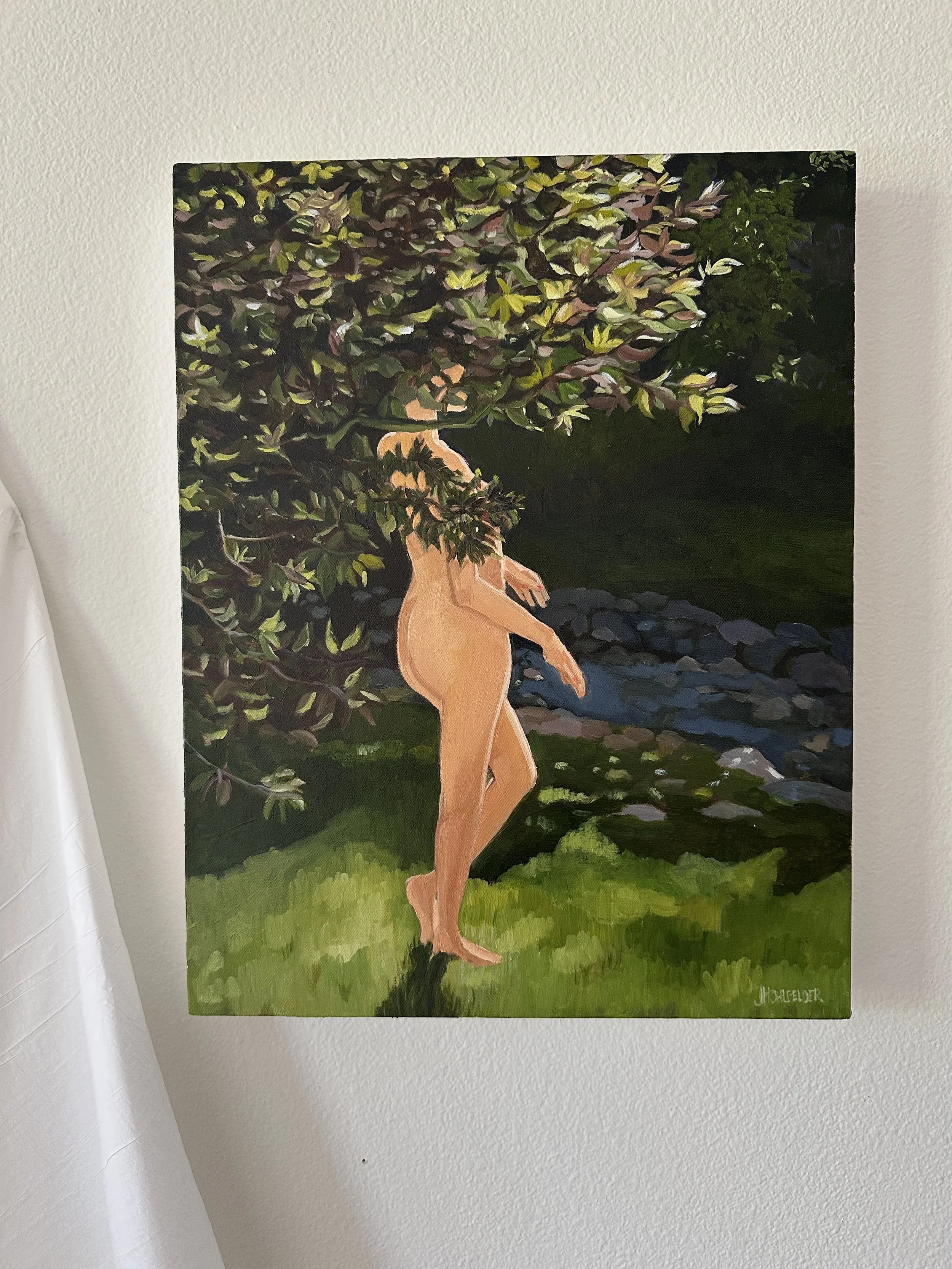 Sunlit long view.jpg