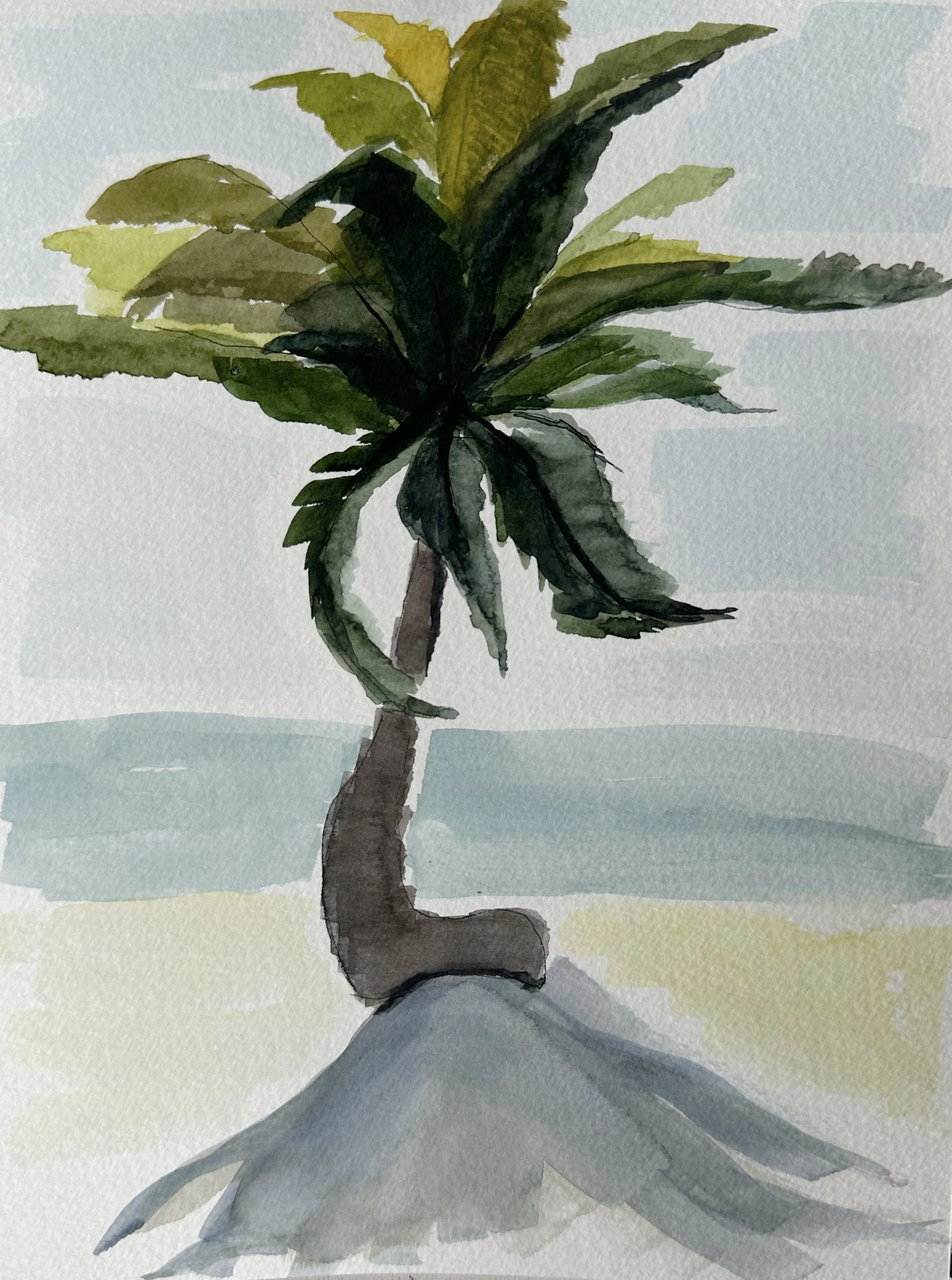 Belize Palm Tree sketch 2.jpg